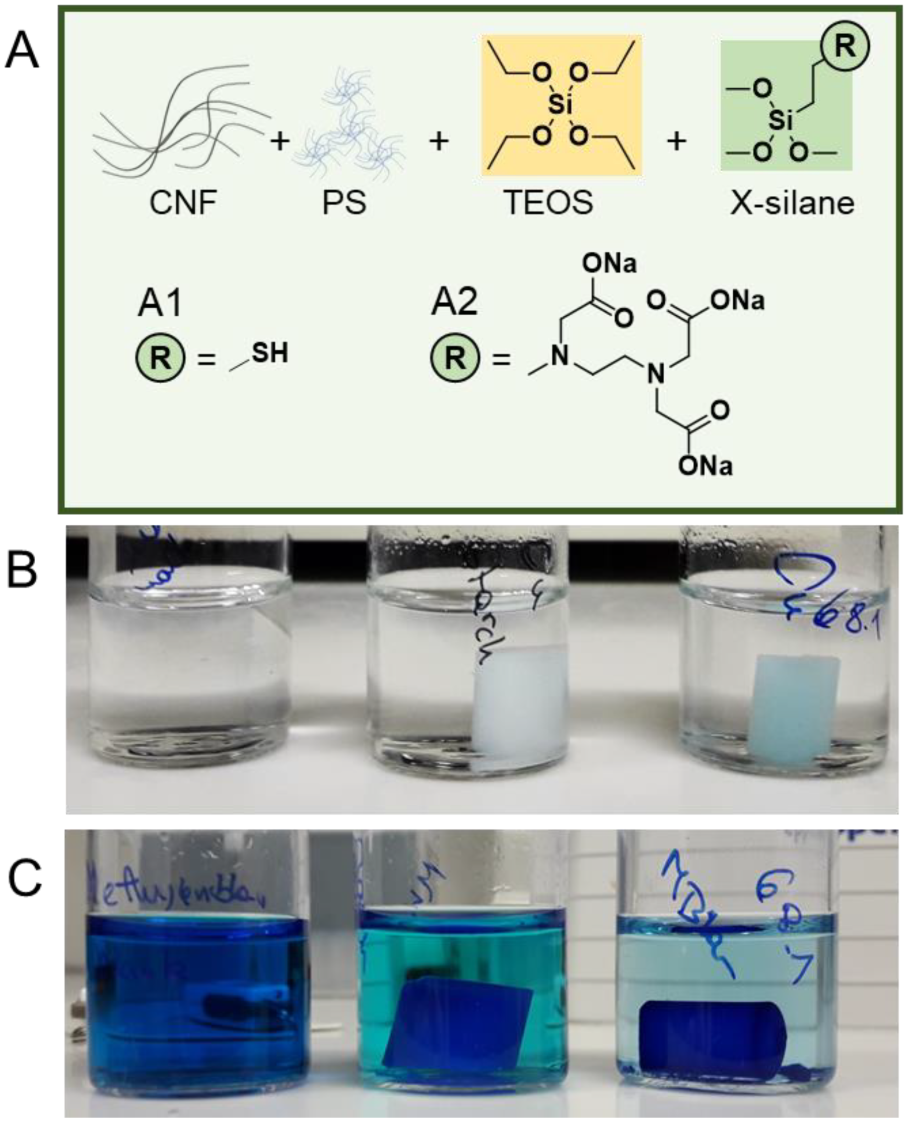 Nanomaterials 12 00895 g004