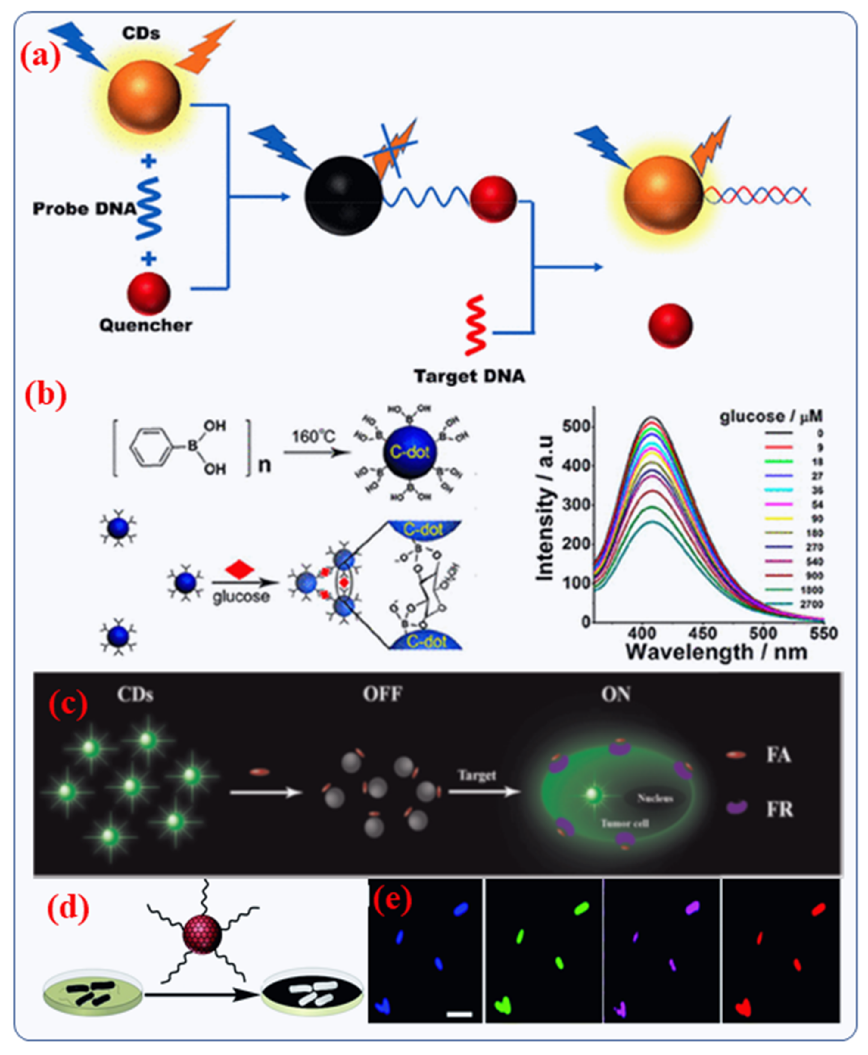 Nanomaterials 12 00898 g008