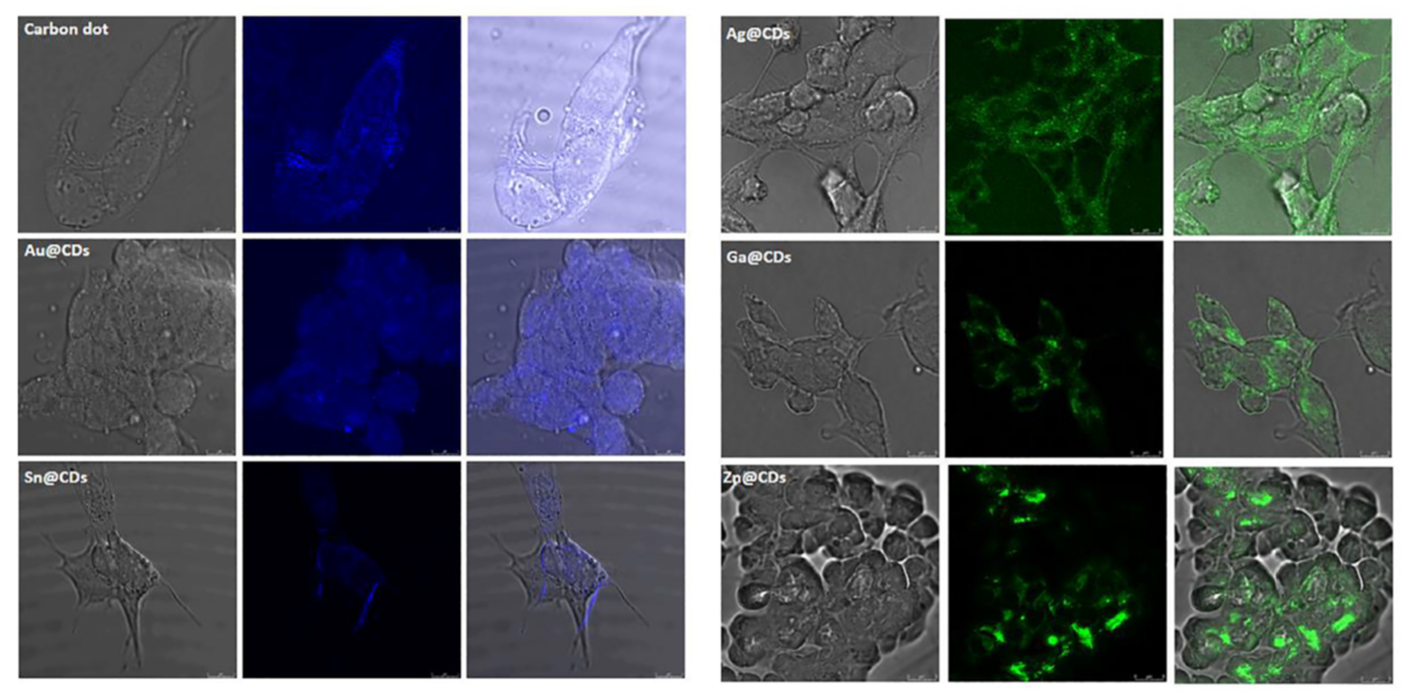 Nanomaterials 12 00898 g009