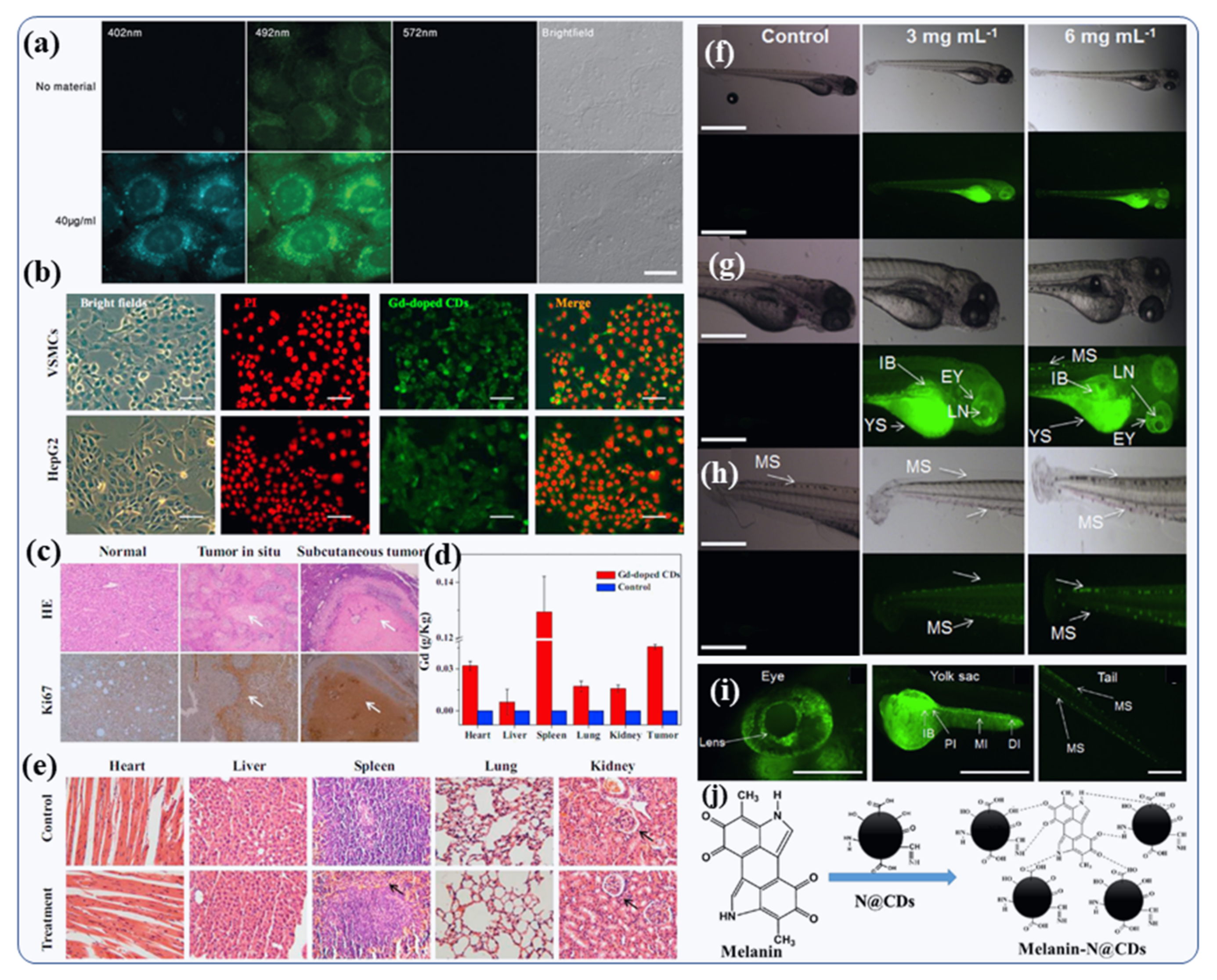Nanomaterials 12 00898 g010