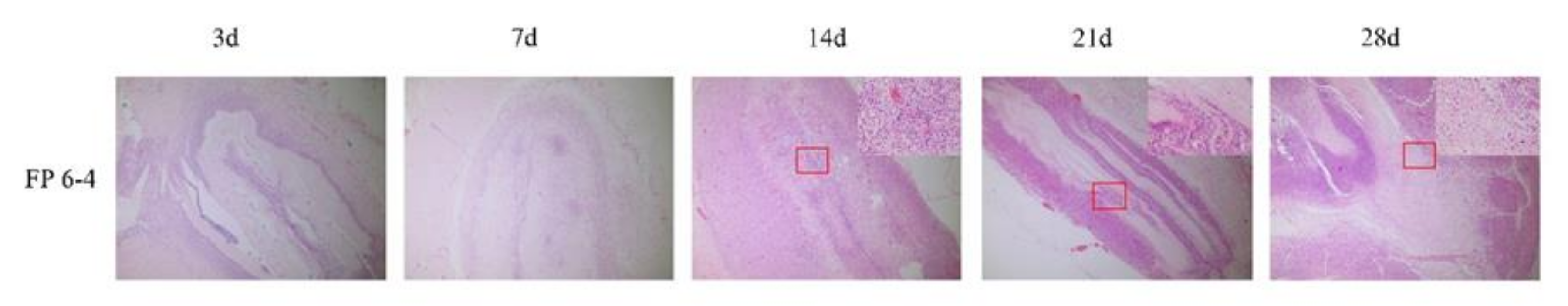 Nanomaterials 12 00900 g009 550