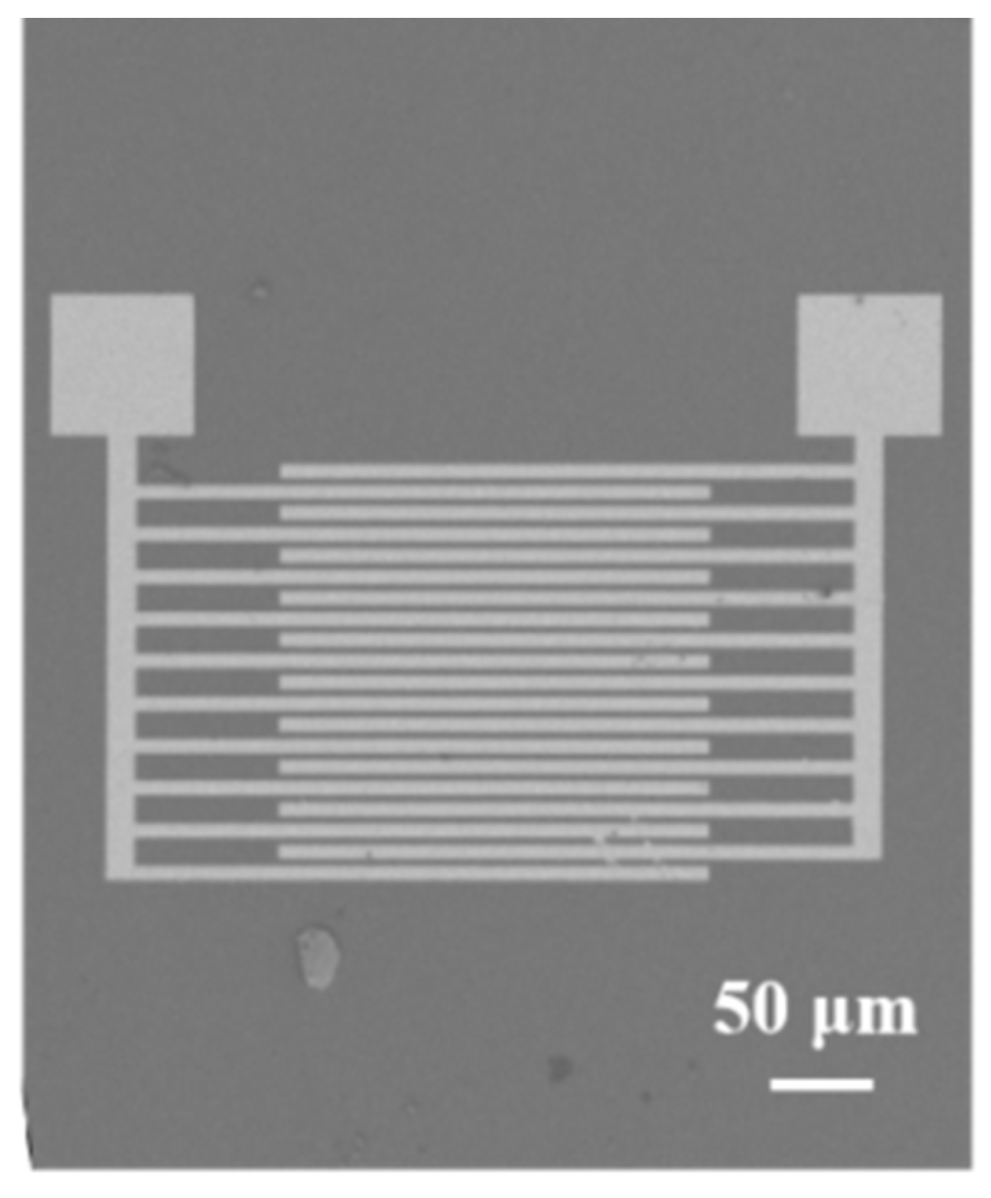 Nanomaterials 12 00901 g001