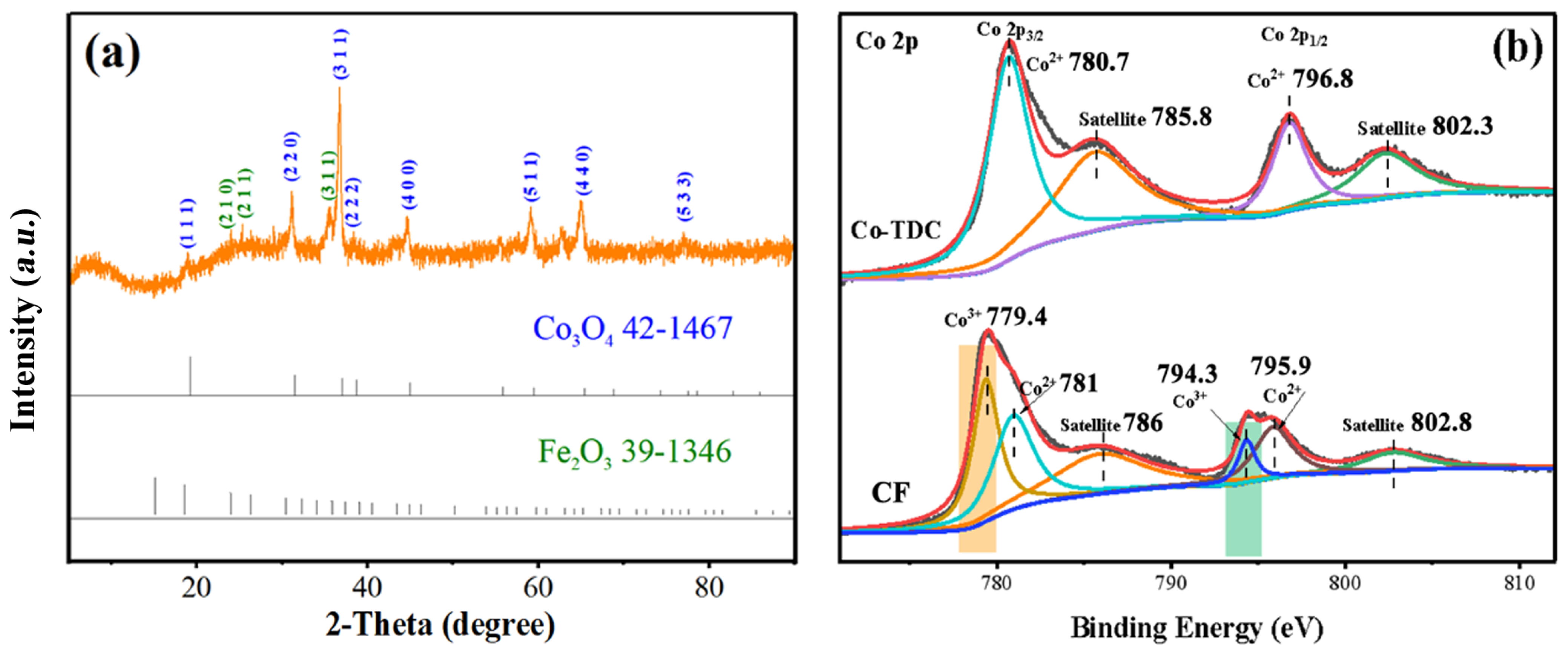 Nanomaterials 12 00904 g001