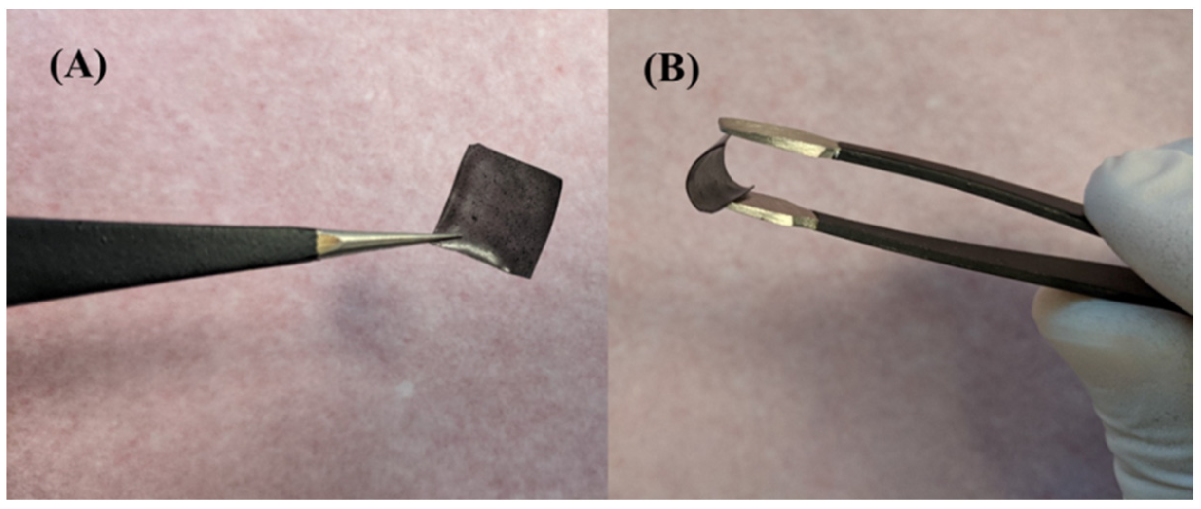 Nanomaterials 12 00913 g001