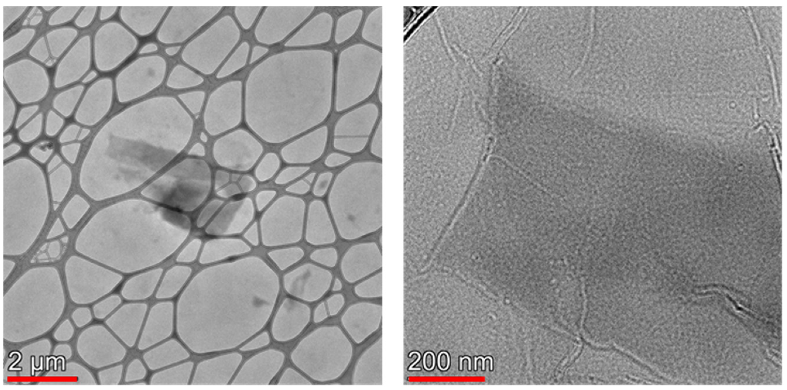 Nanomaterials 12 00916 g001