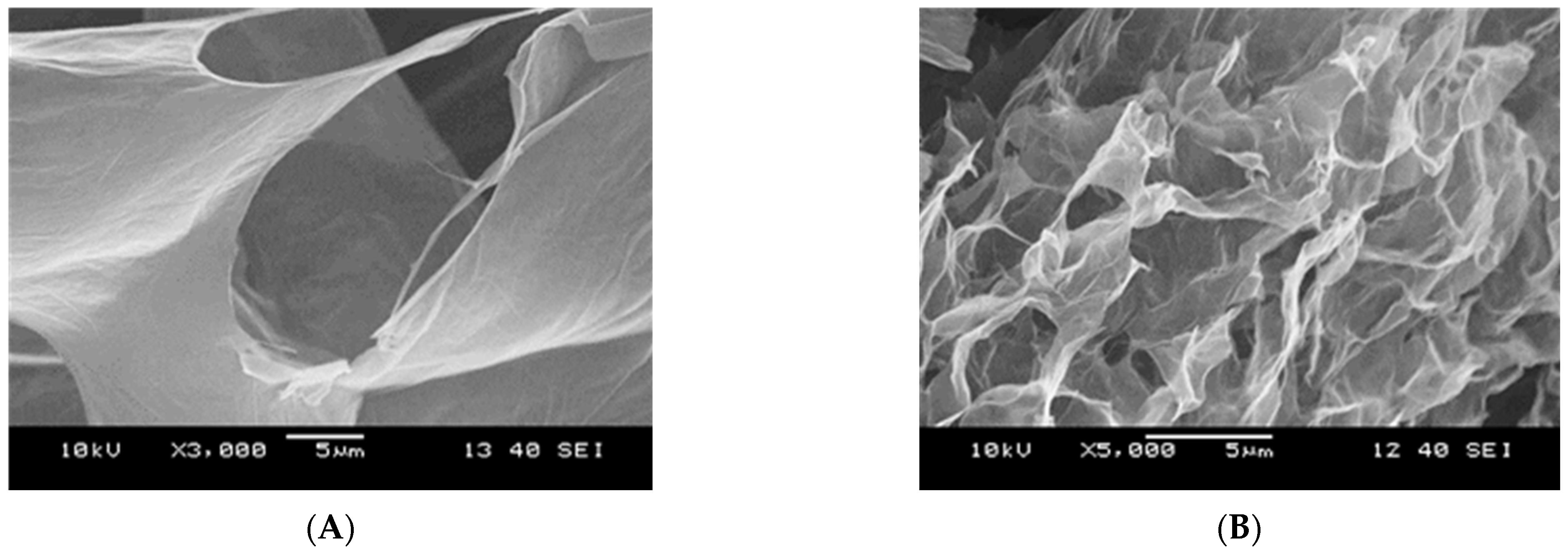 Nanomaterials 12 00916 g010