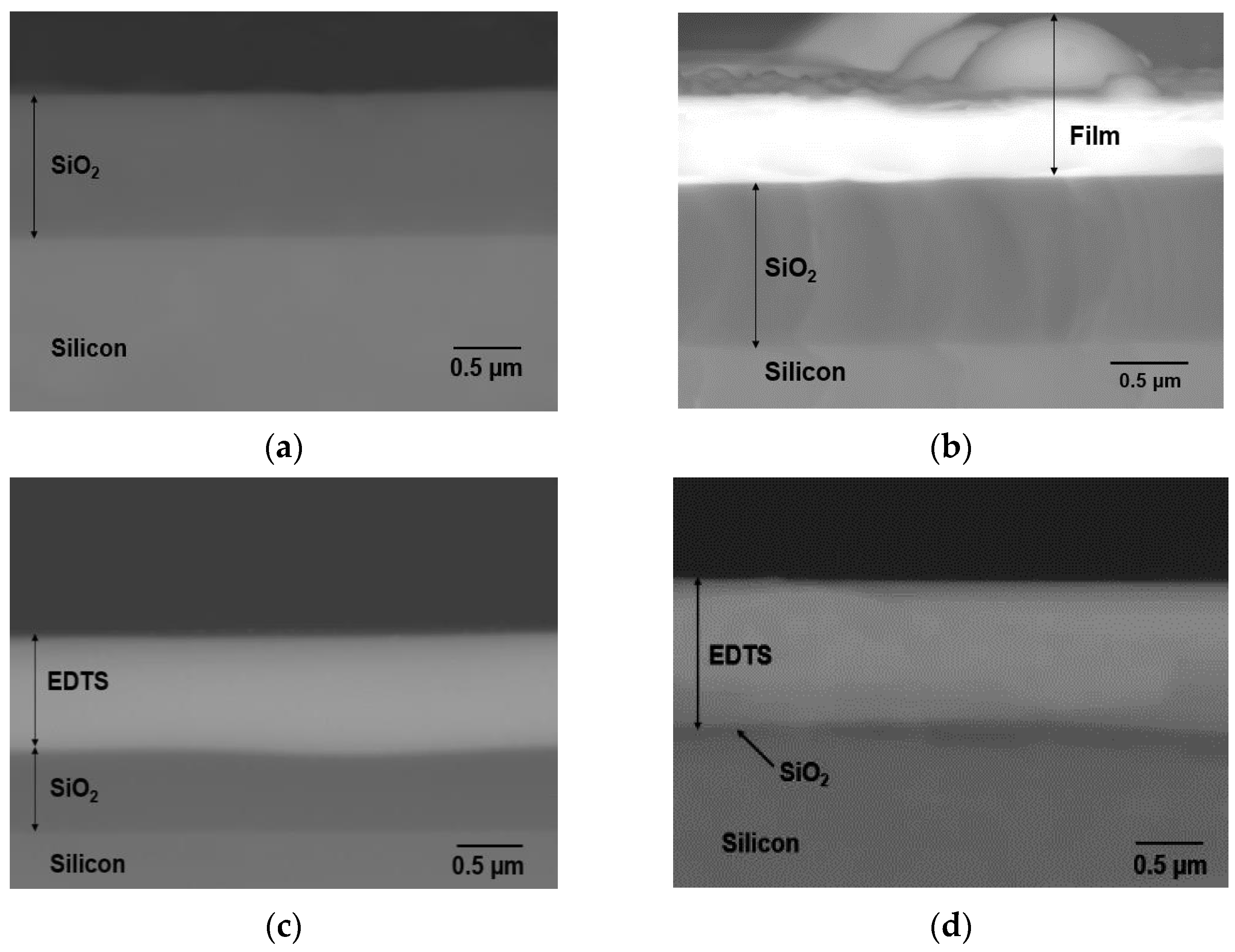 Nanomaterials 12 00919 g001