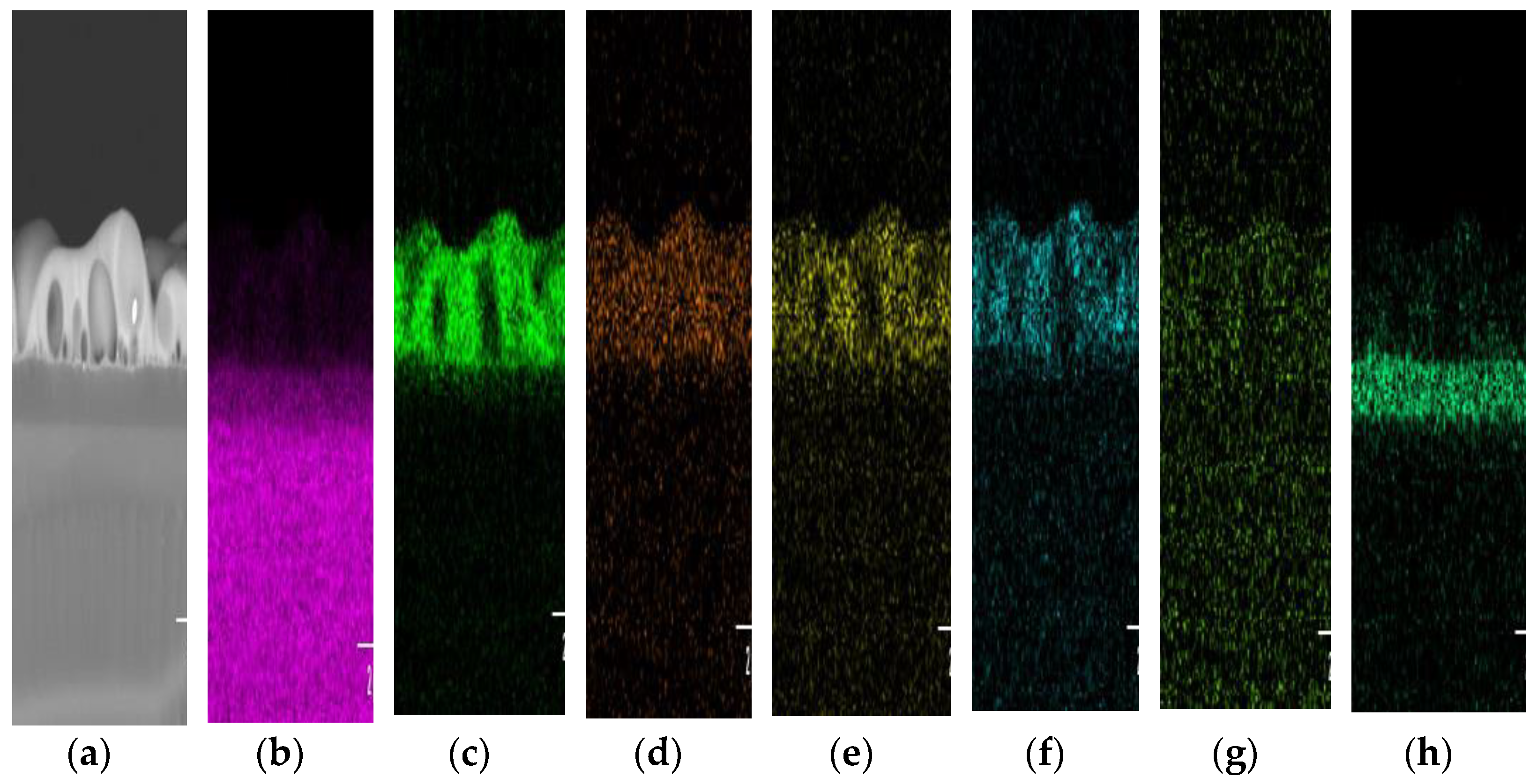 Nanomaterials 12 00919 g012