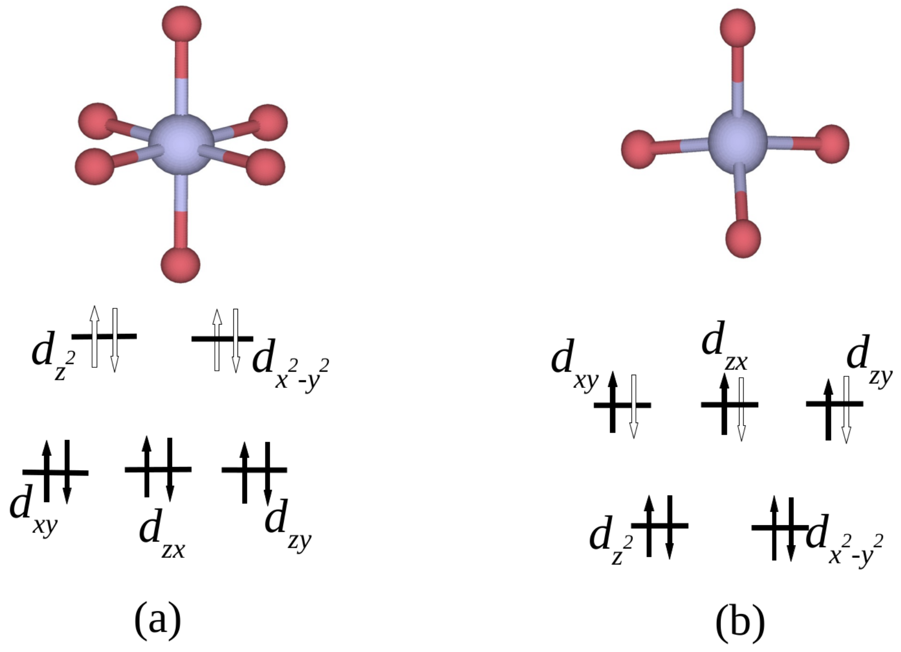 オーダー専用ページ The role of electron correlations in the electronic