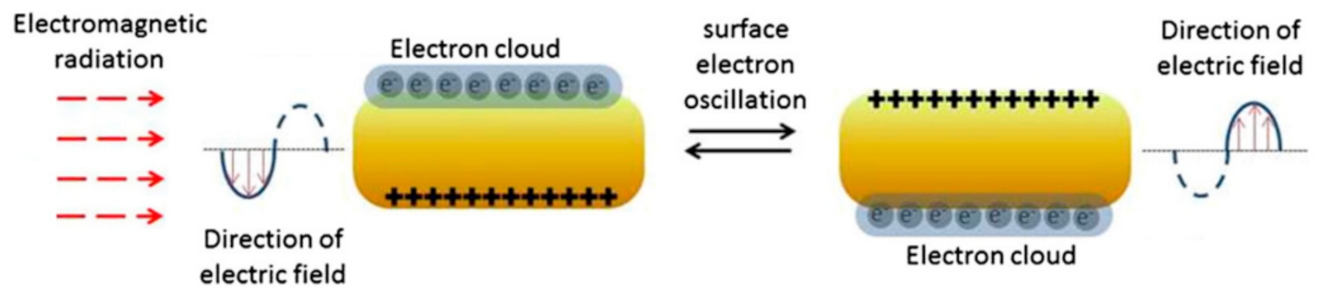 Nanomaterials 12 00922 g001