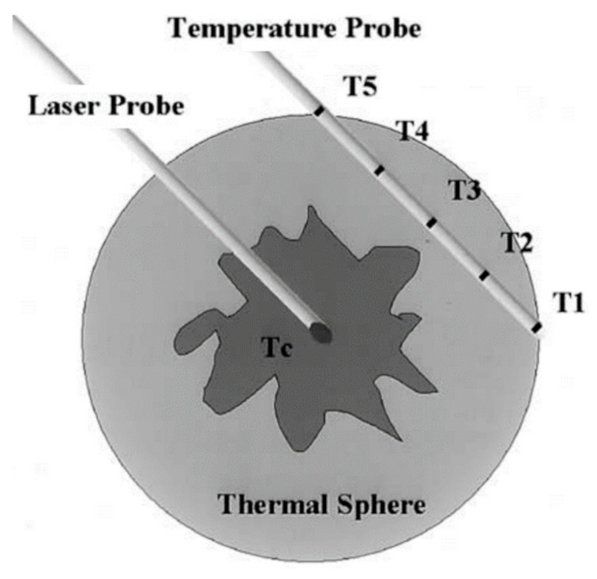 Nanomaterials 12 00922 g002
