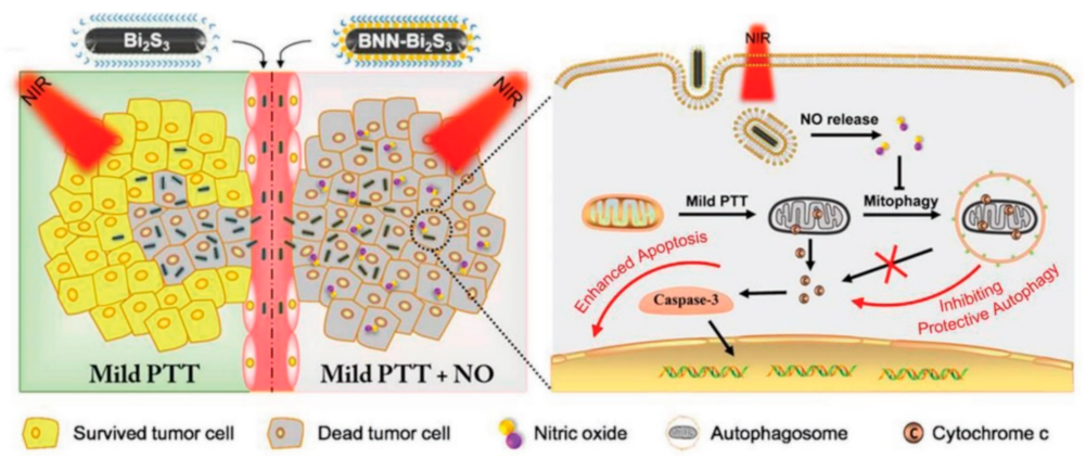 Nanomaterials 12 00922 g005