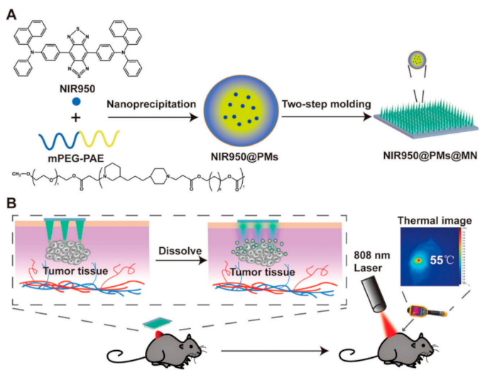 Nanomaterials 12 00922 g006