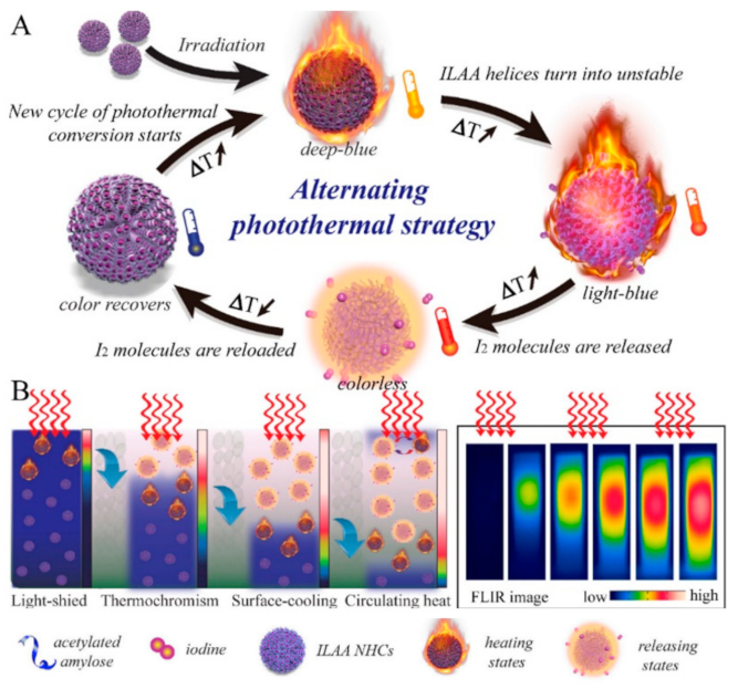 Nanomaterials 12 00922 g007