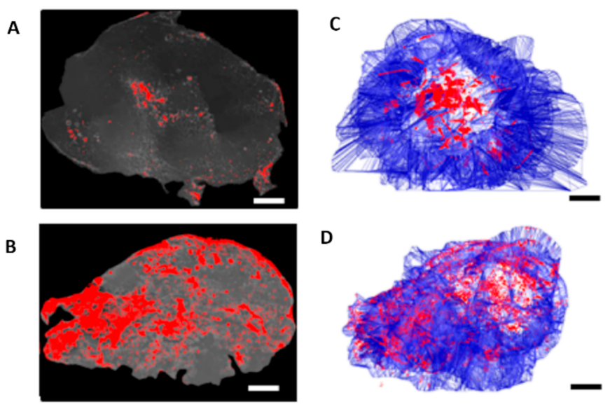 Nanomaterials 12 00922 g009