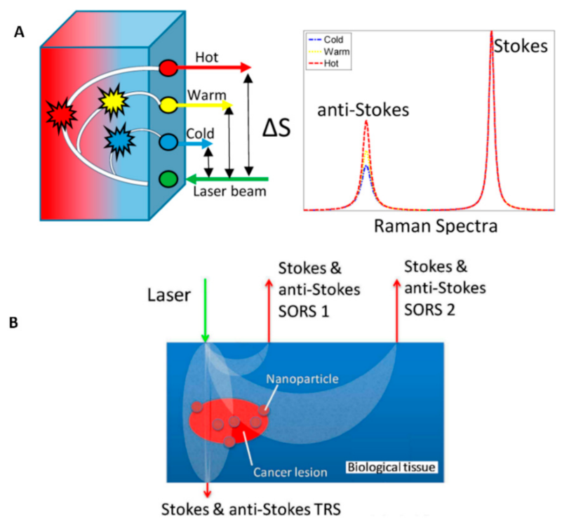 Nanomaterials 12 00922 g010