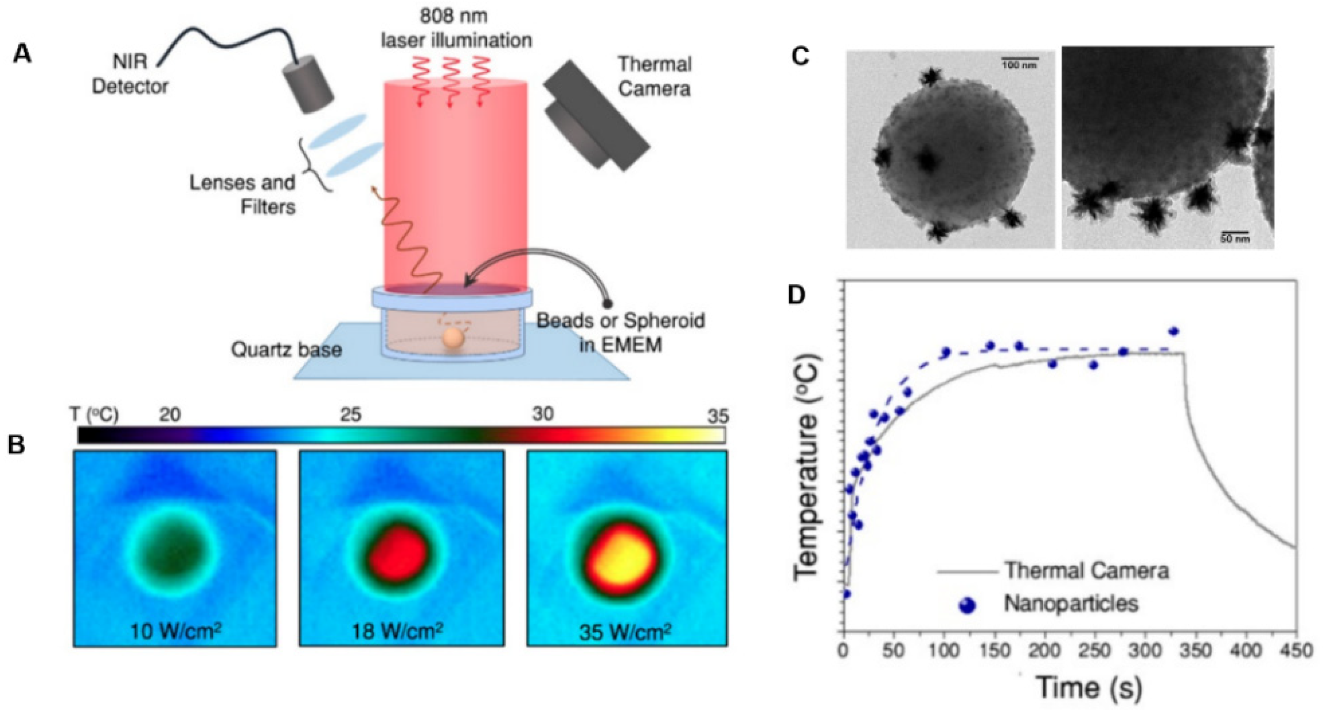 Nanomaterials 12 00922 g012