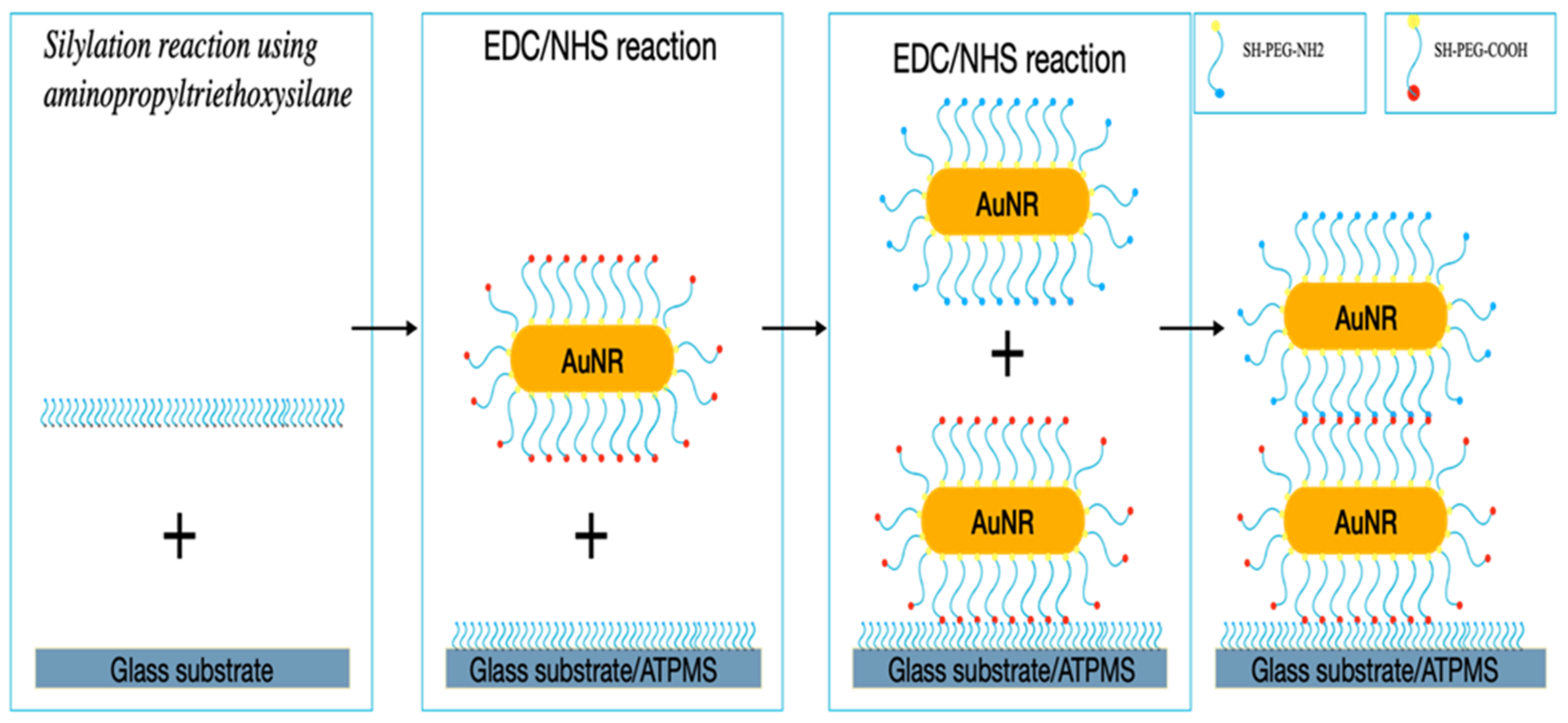 Nanomaterials 12 00929 g001