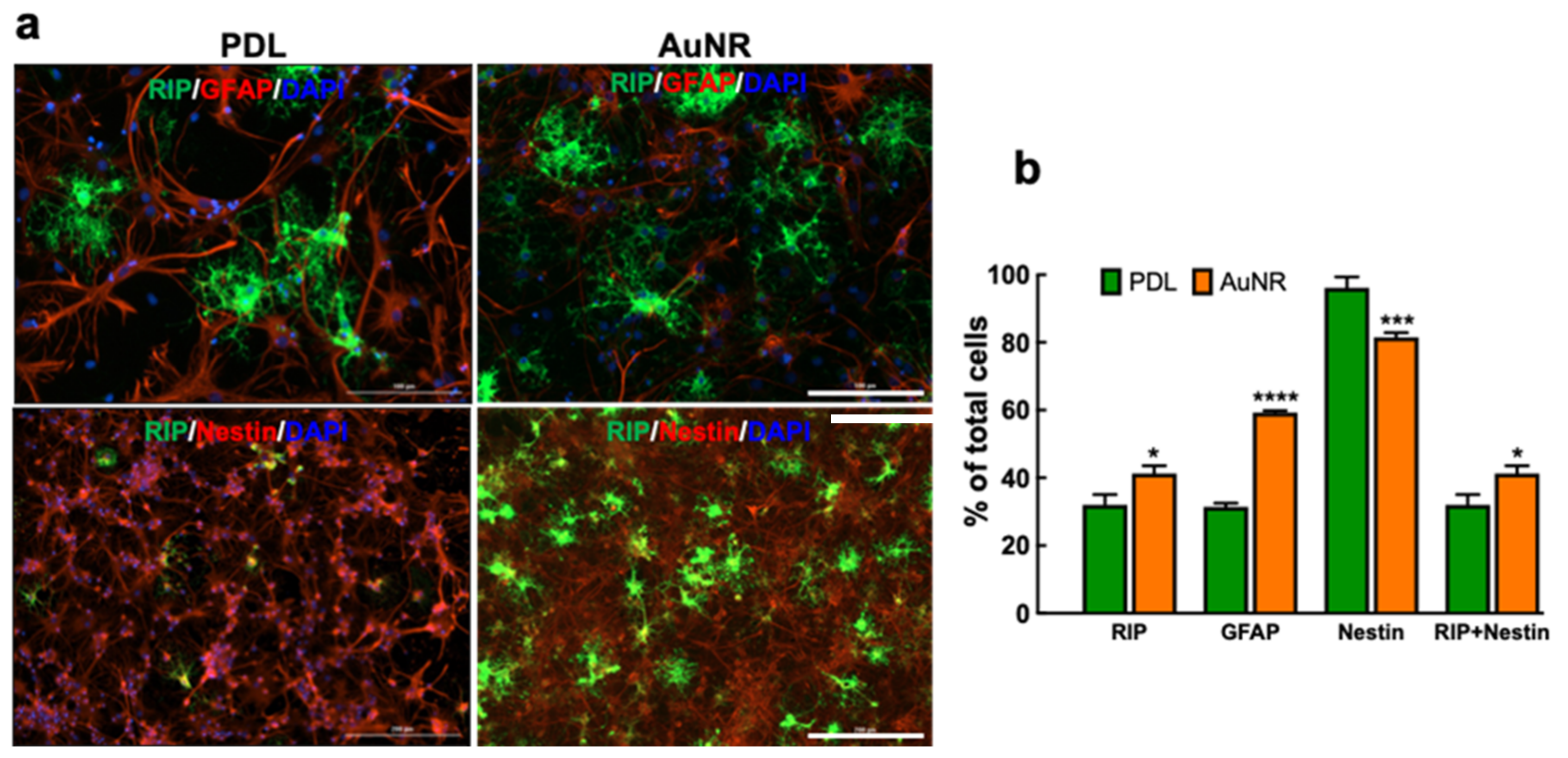 Nanomaterials 12 00929 g004