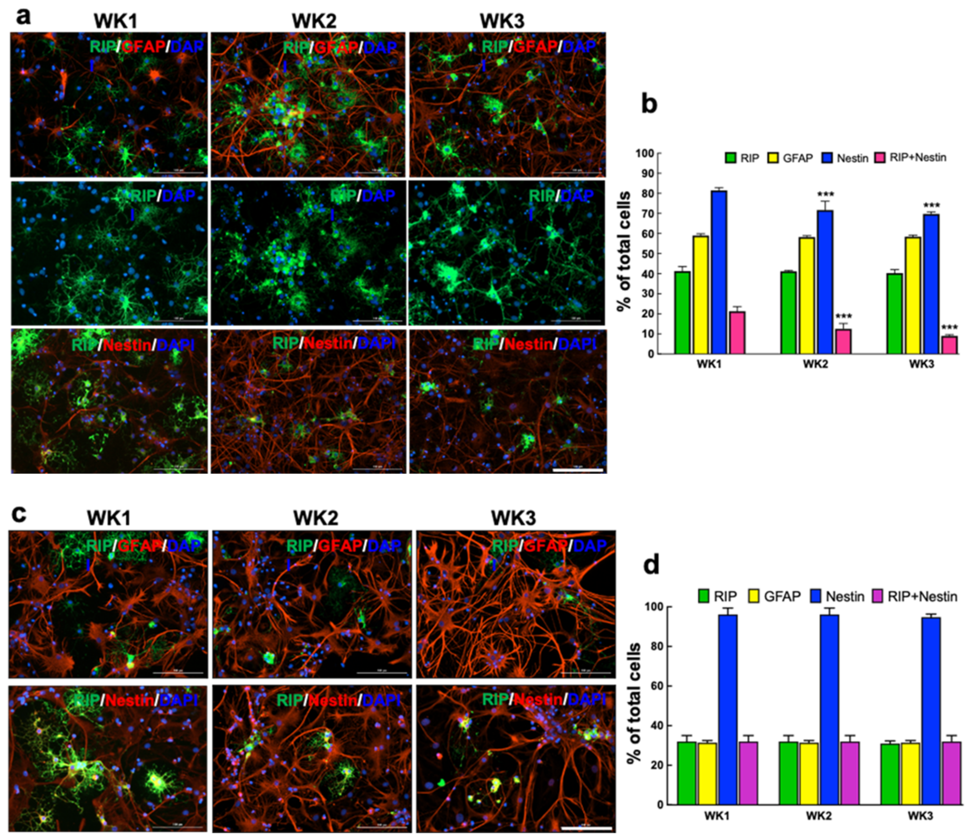 Nanomaterials 12 00929 g005