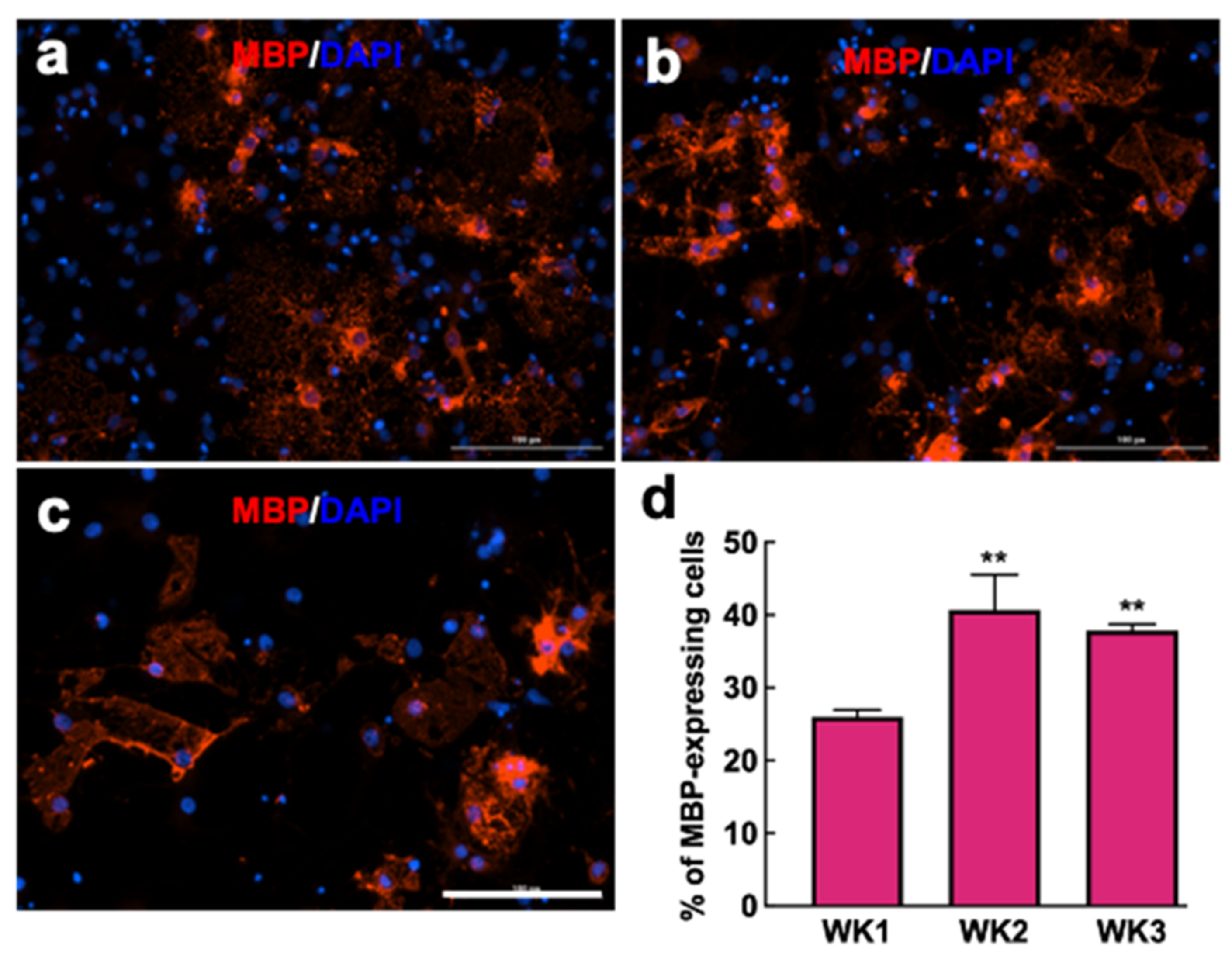 Nanomaterials 12 00929 g006