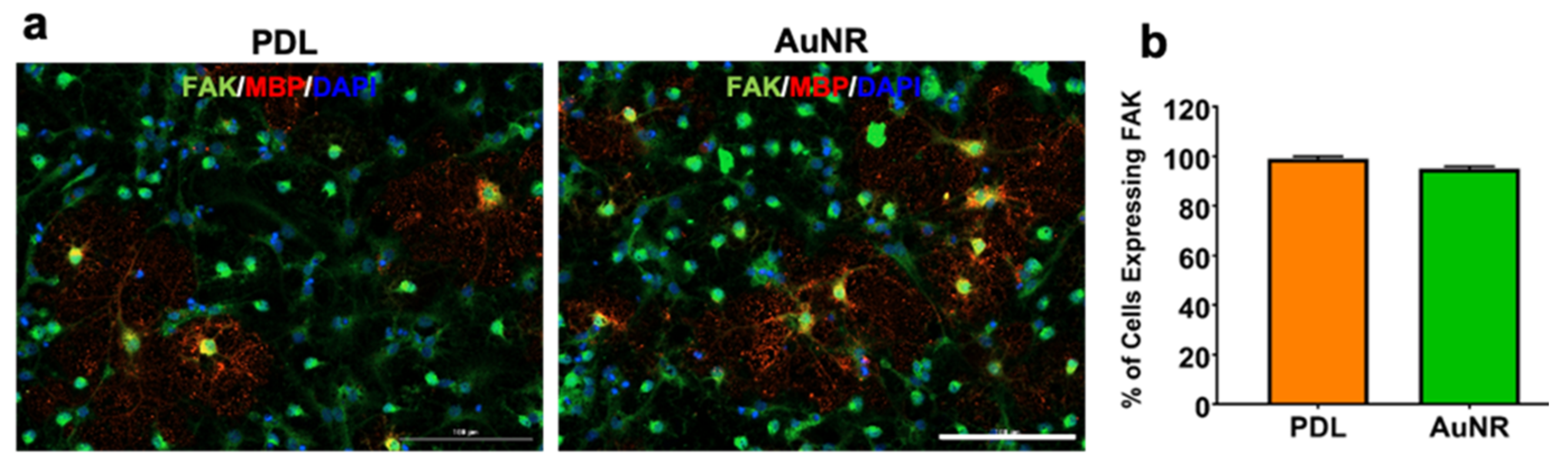Nanomaterials 12 00929 g007