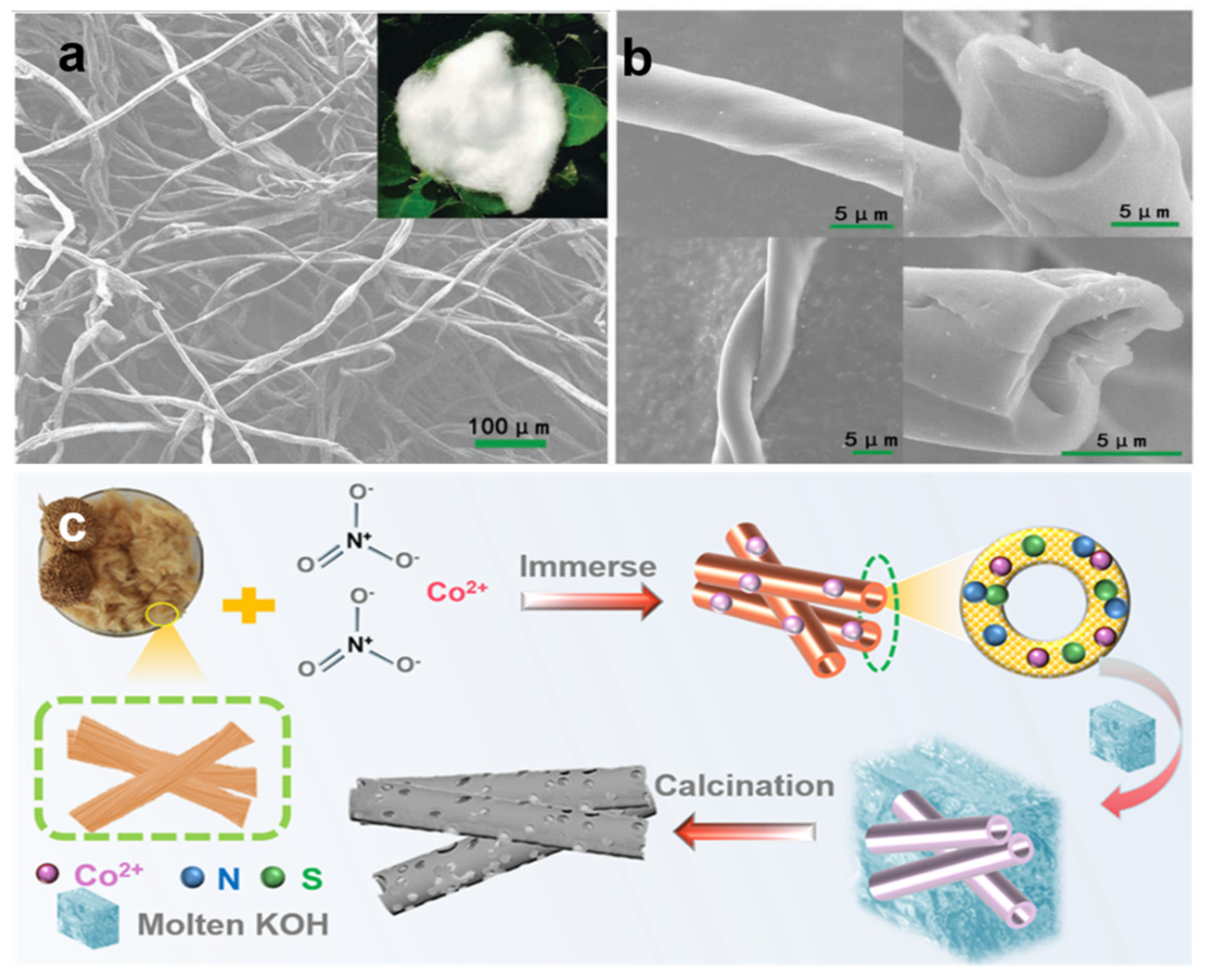 Nanomaterials 12 00930 g003