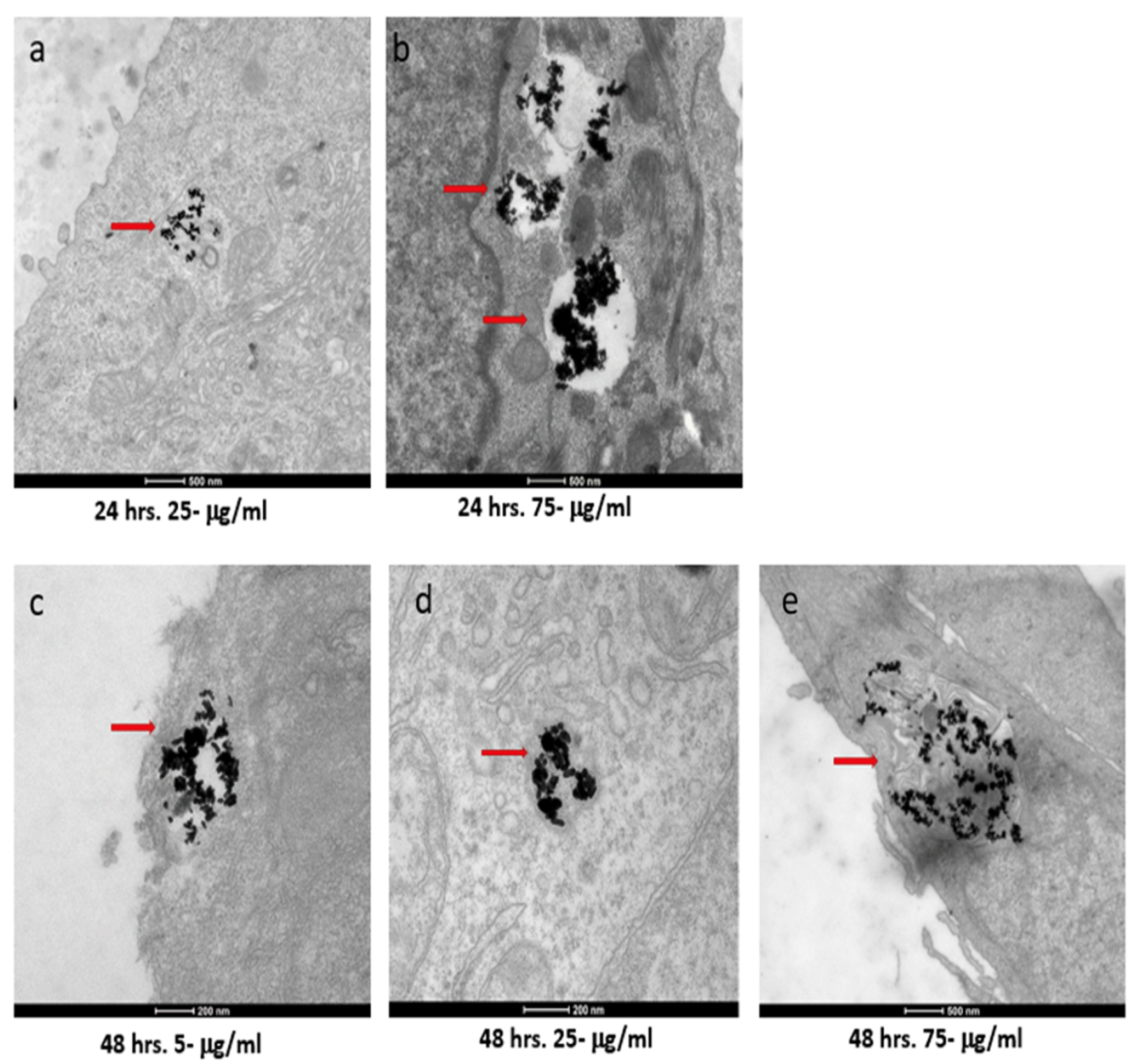 Nanomaterials 12 00937 g005 550