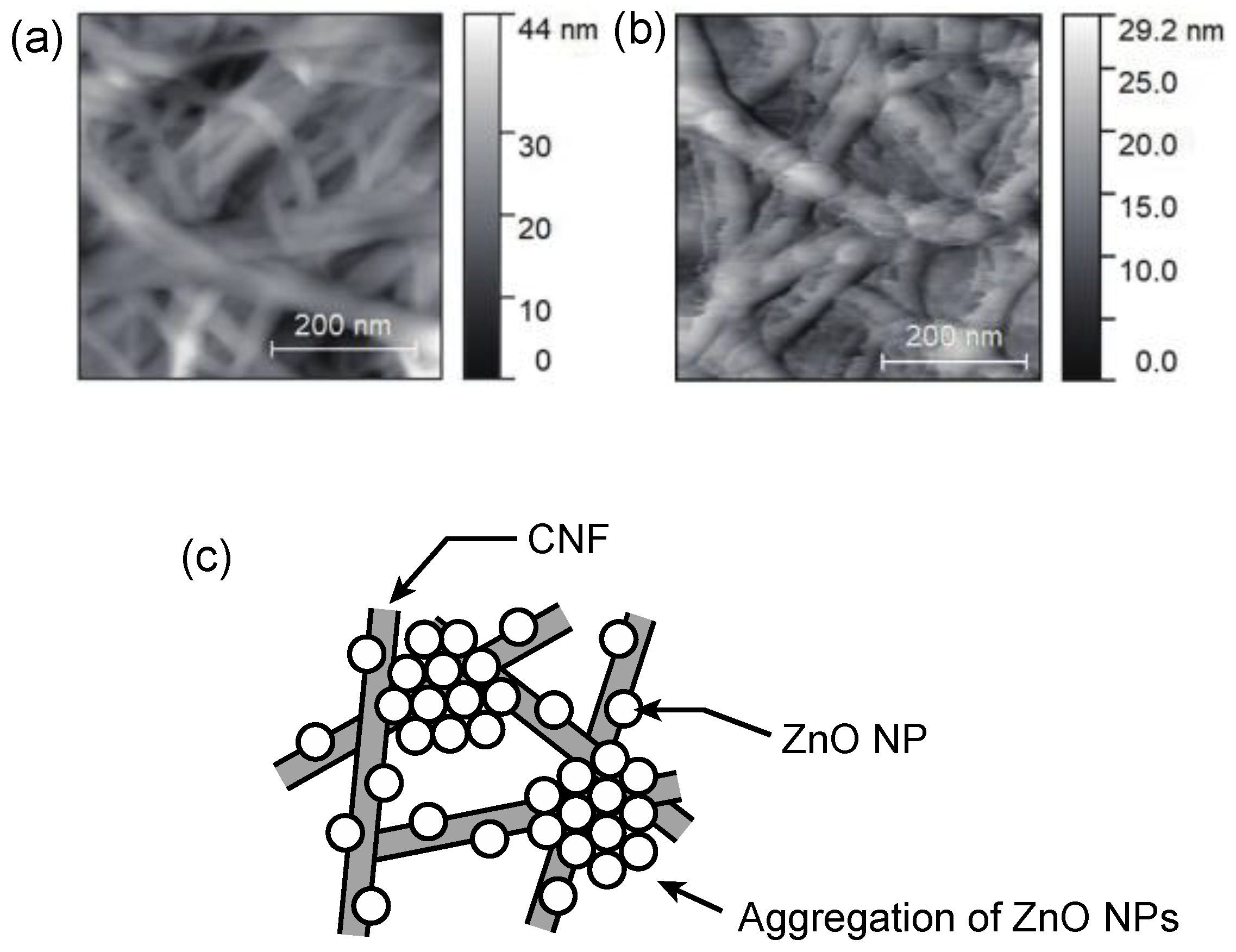 Nanomaterials 12 00940 g003 Nanomaterials 12 00940 g003