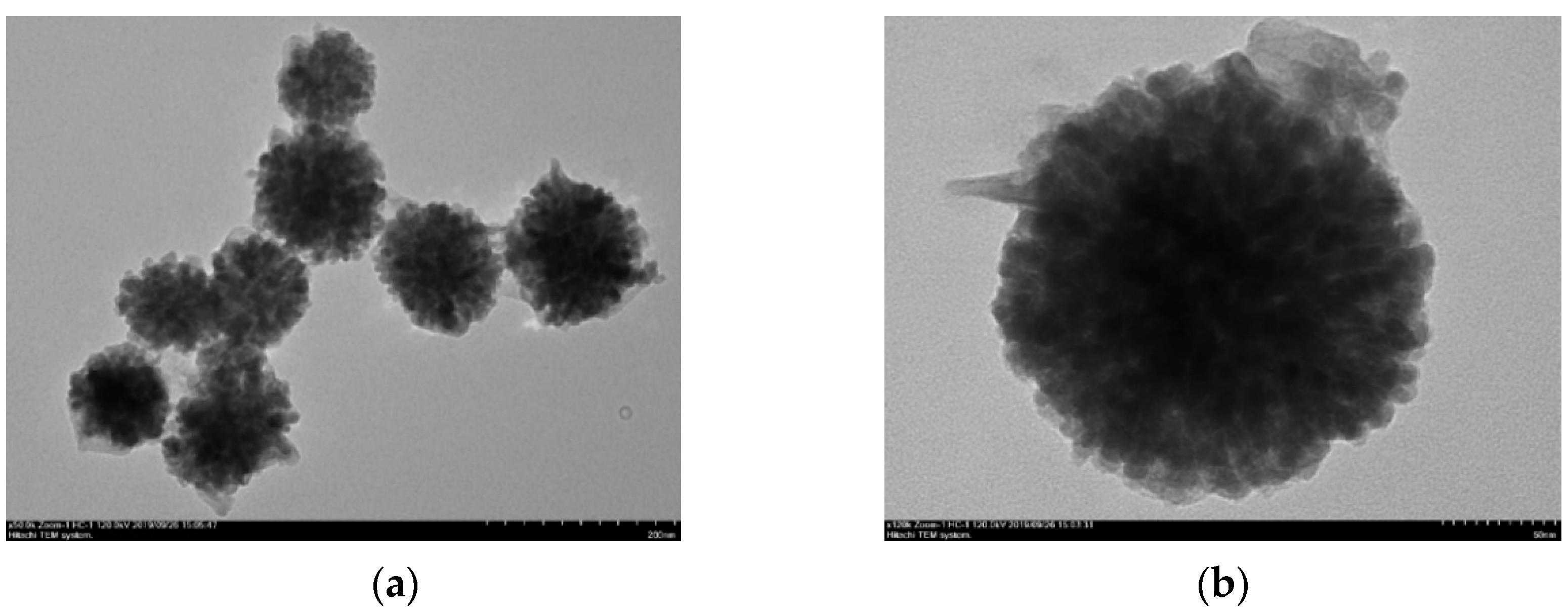 Nanomaterials 12 00942 g003