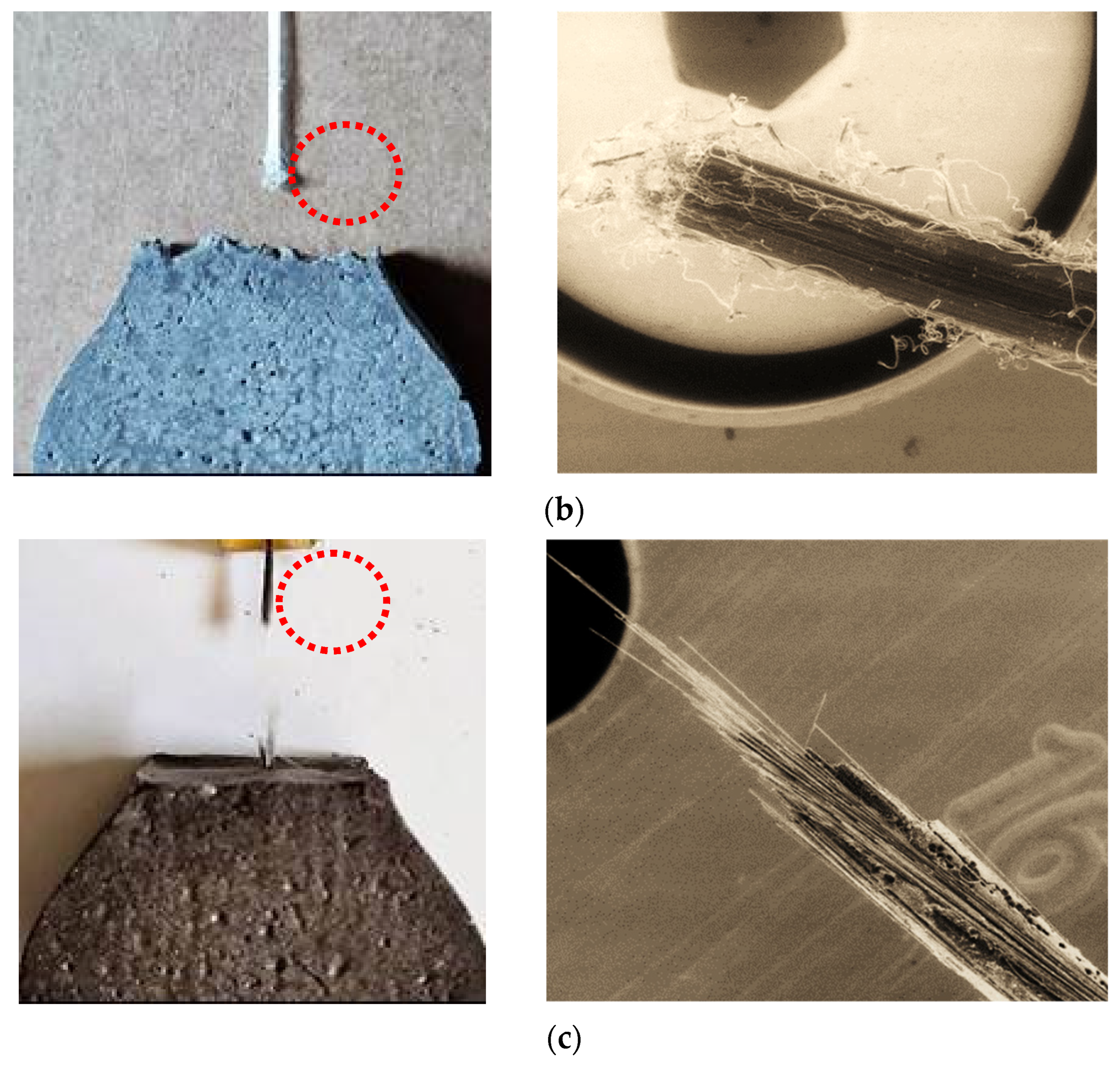 Nanomaterials 12 00943 g004b