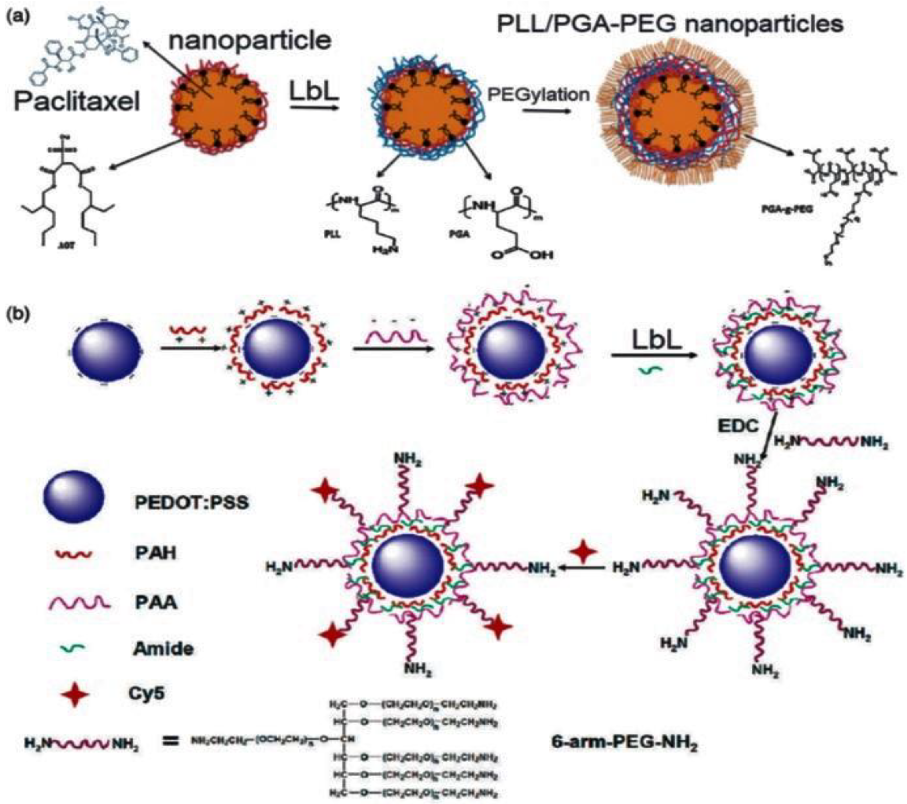 Nanomaterials 12 00949 g005