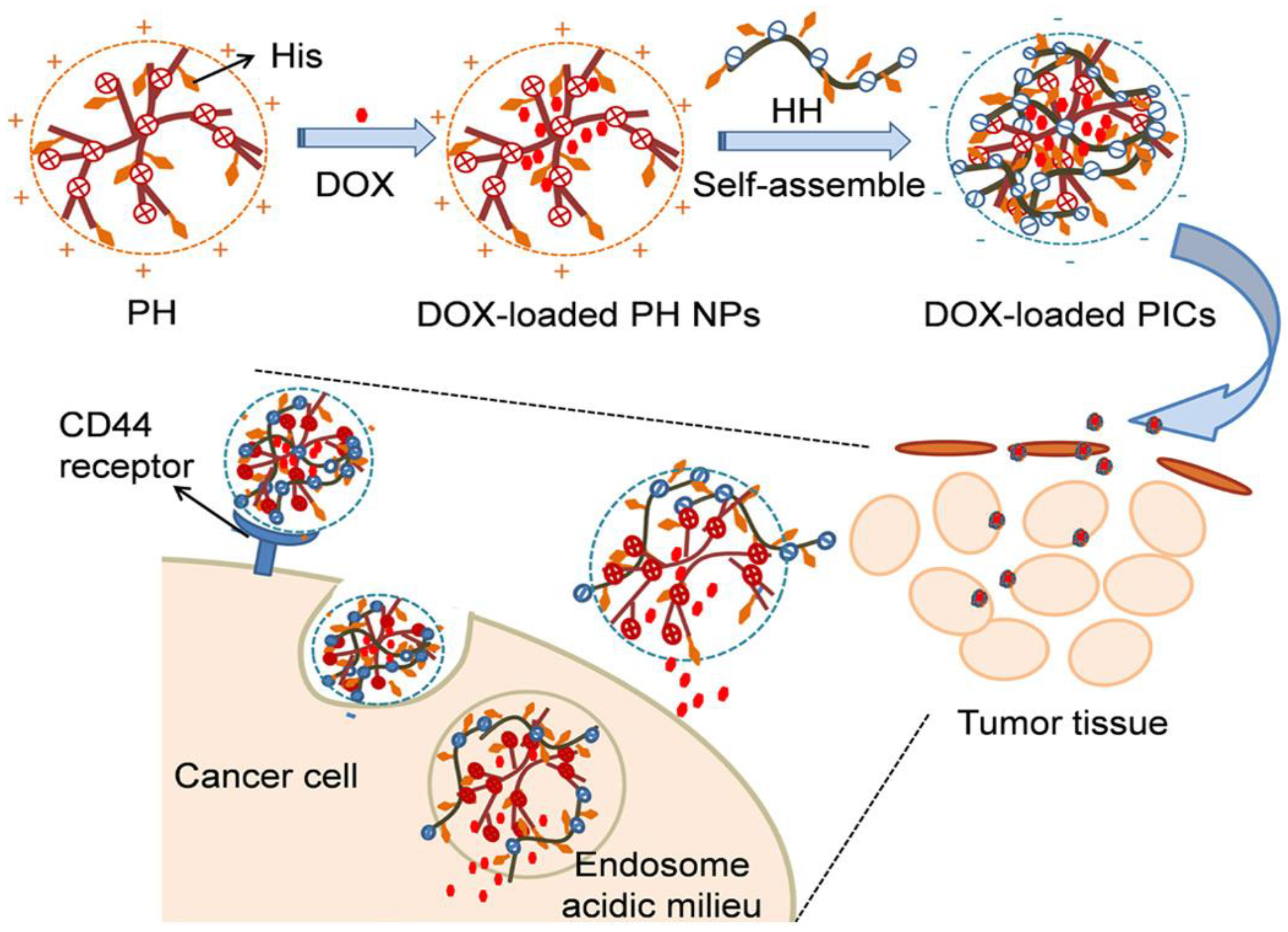 Nanomaterials 12 00949 g006