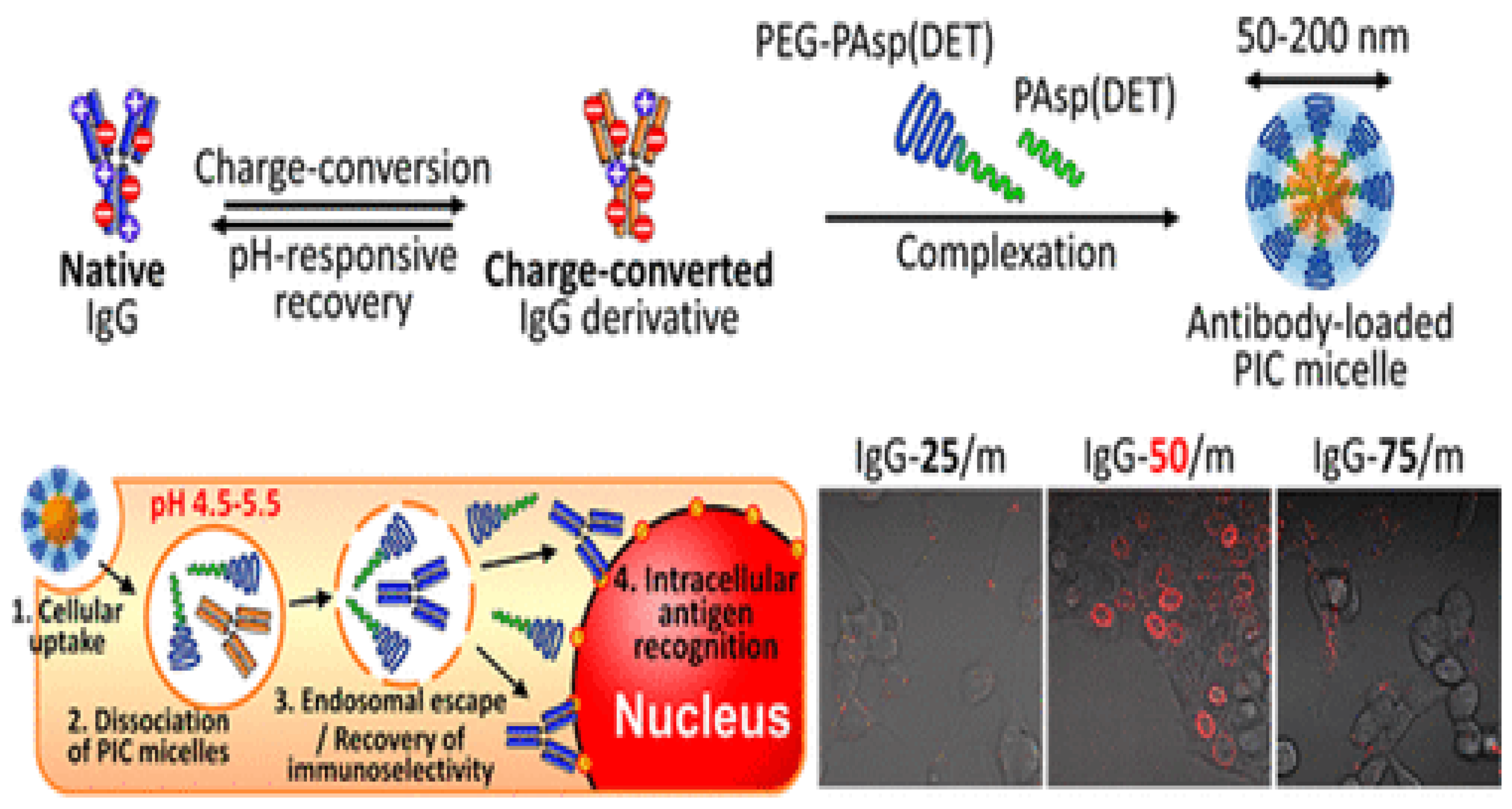 Nanomaterials 12 00949 g008