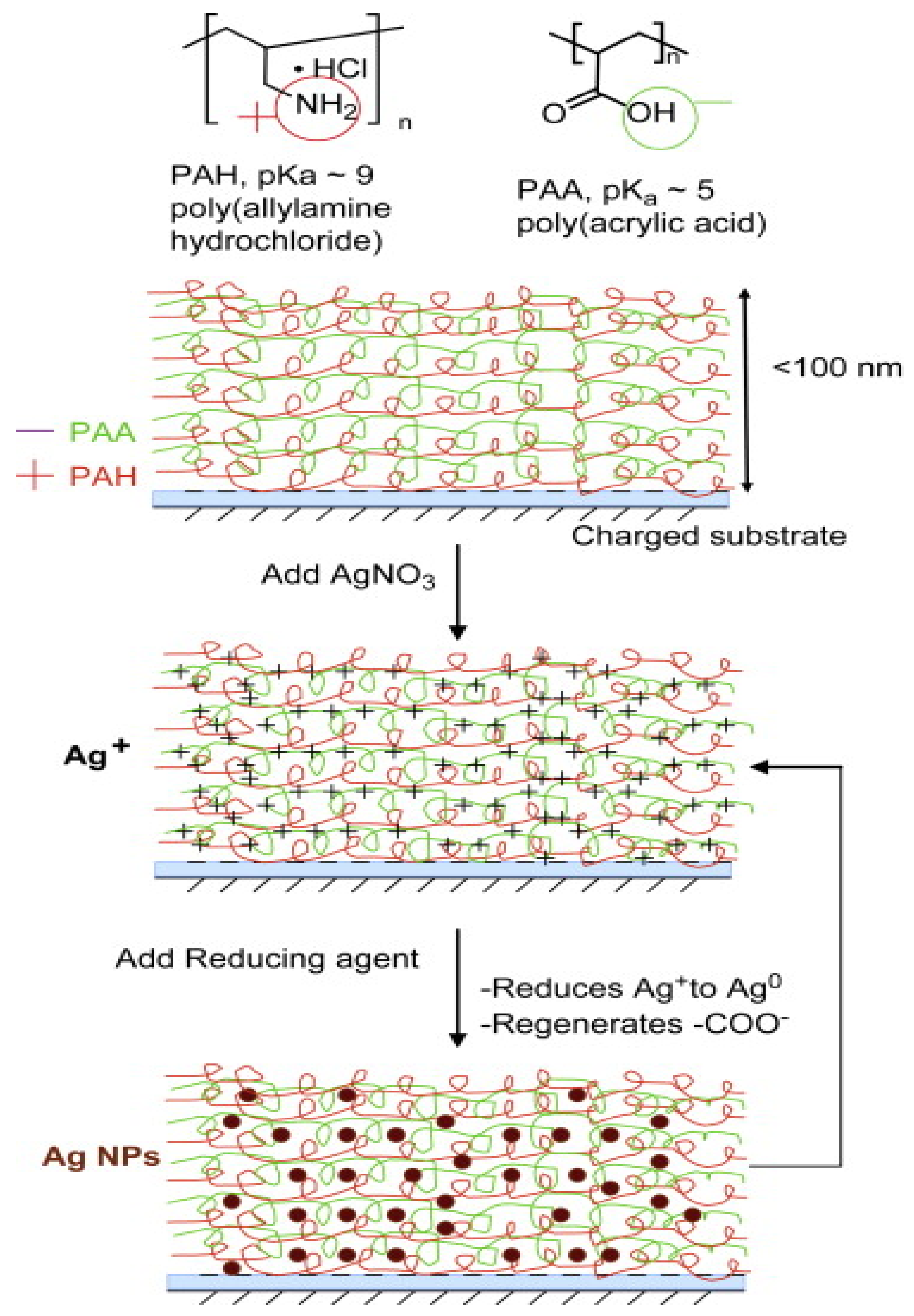 Nanomaterials 12 00949 g011