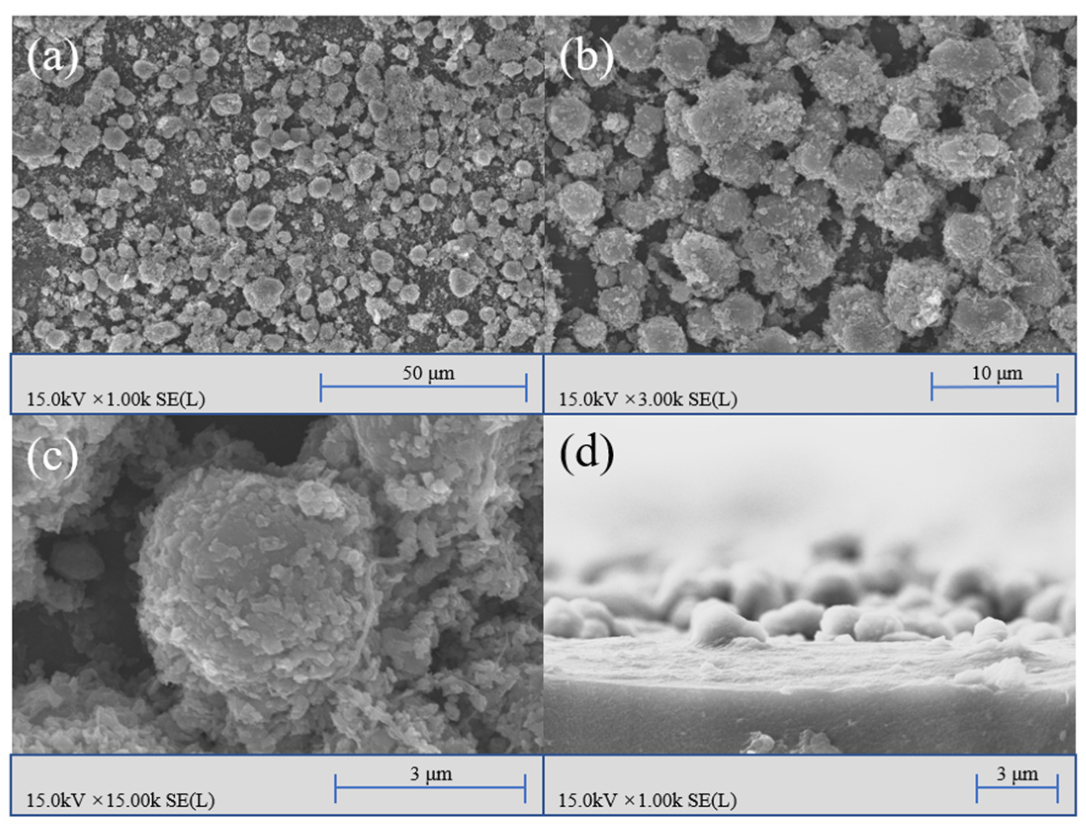 Nanomaterials 12 00953 g002 550