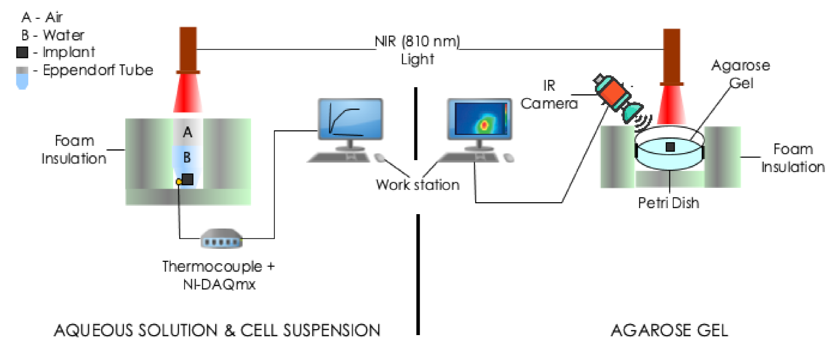 Nanomaterials 12 00955 g002