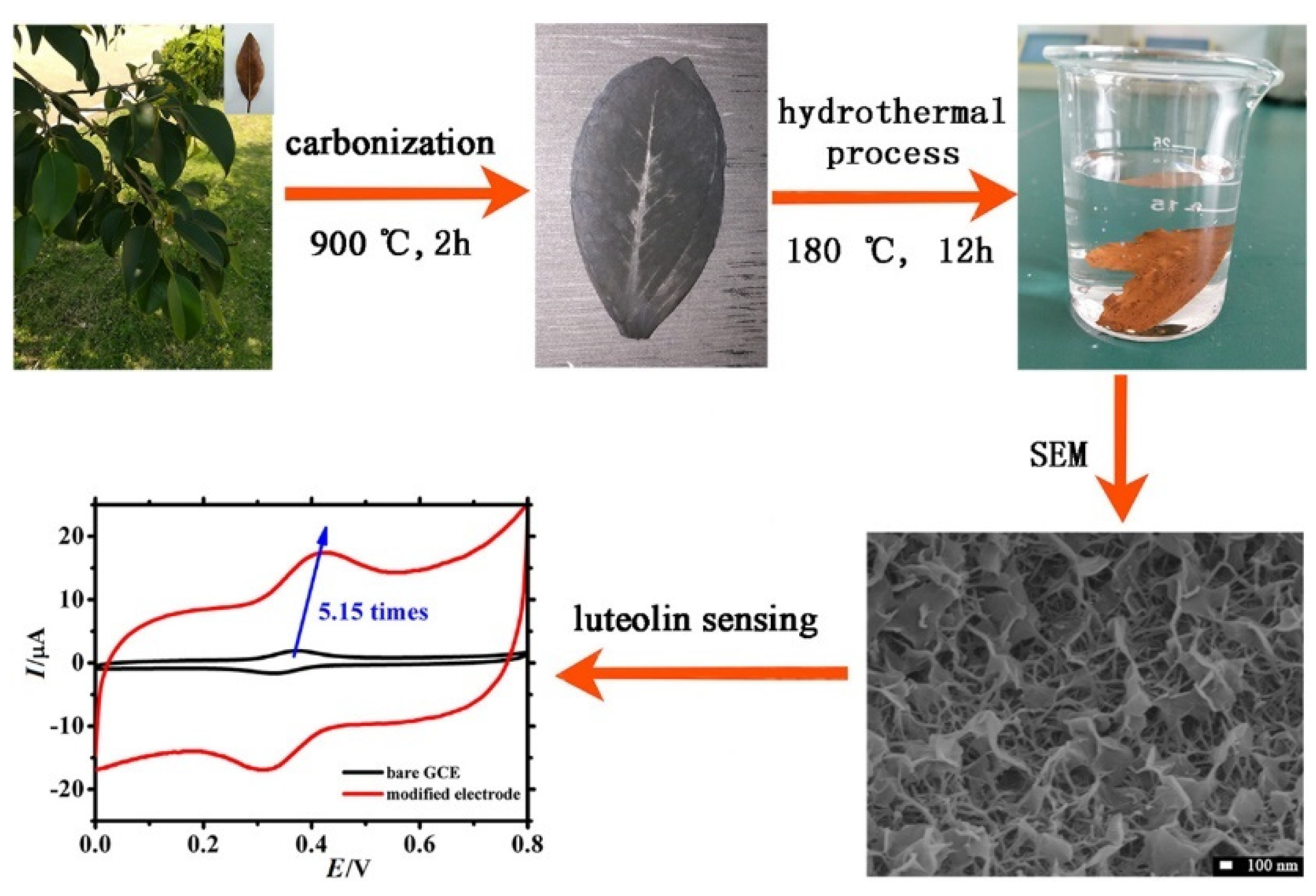 Nanomaterials 12 00959 g017