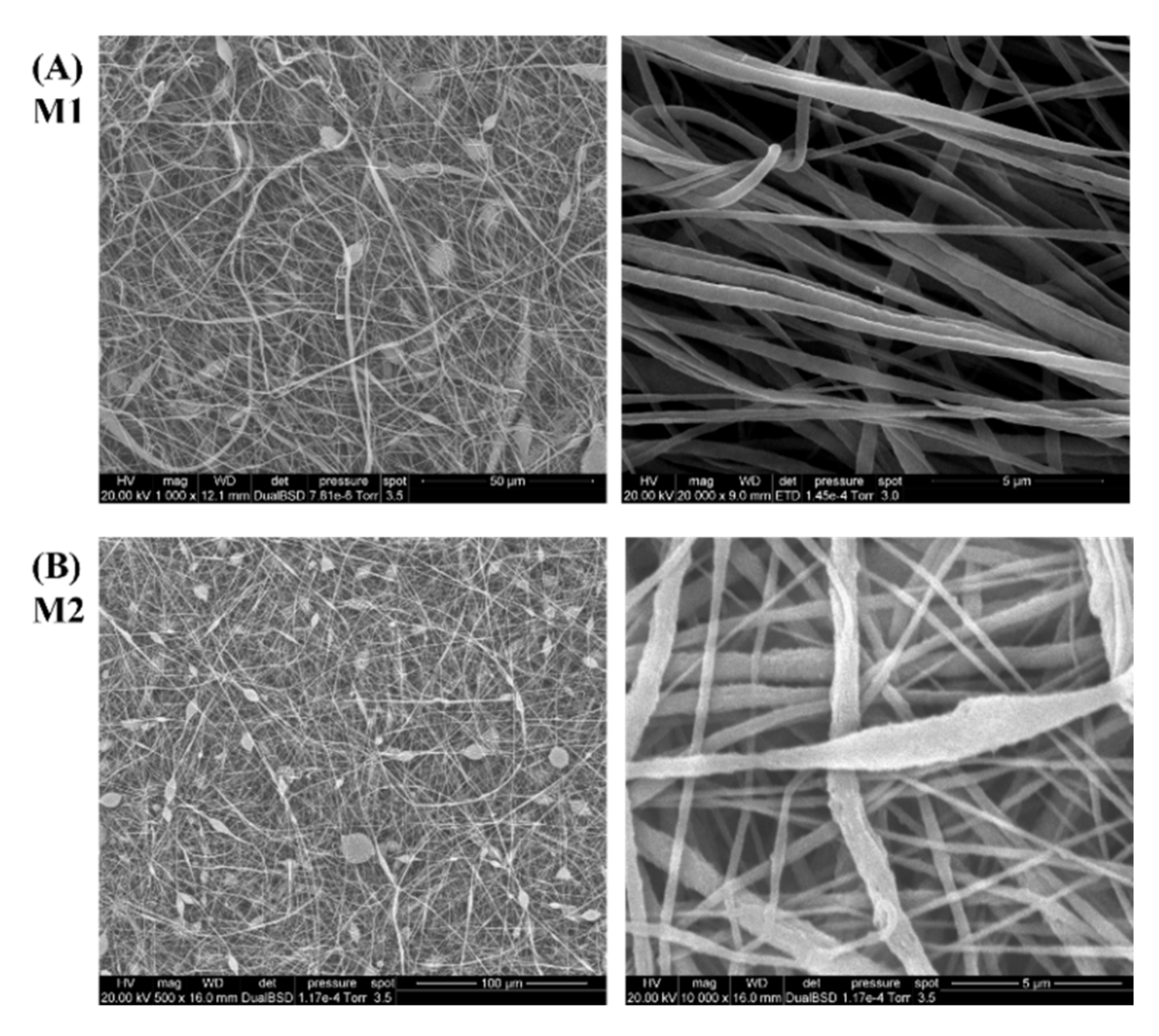 Nanomaterials 12 00962 g003 550