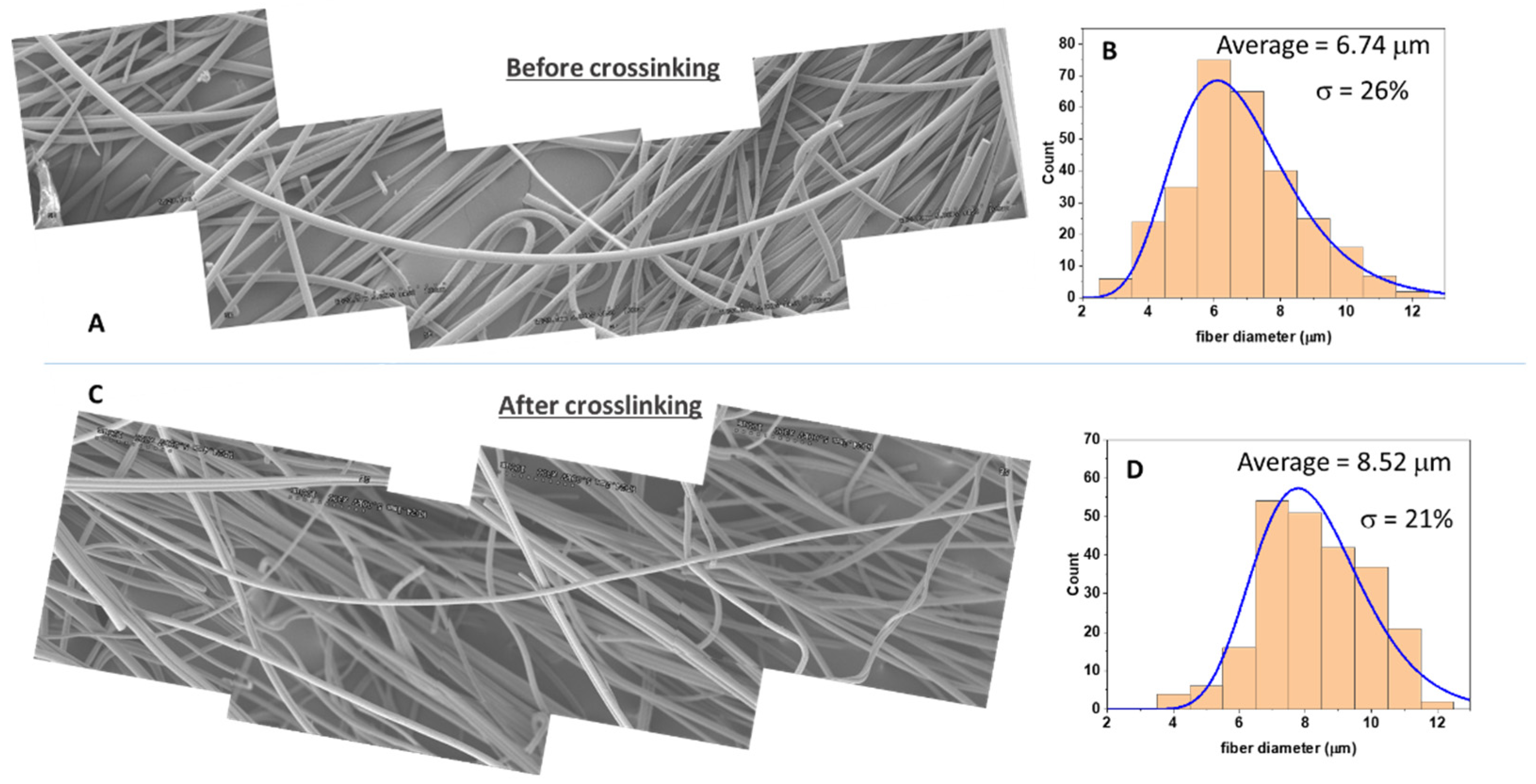 Nanomaterials 12 00967 g004