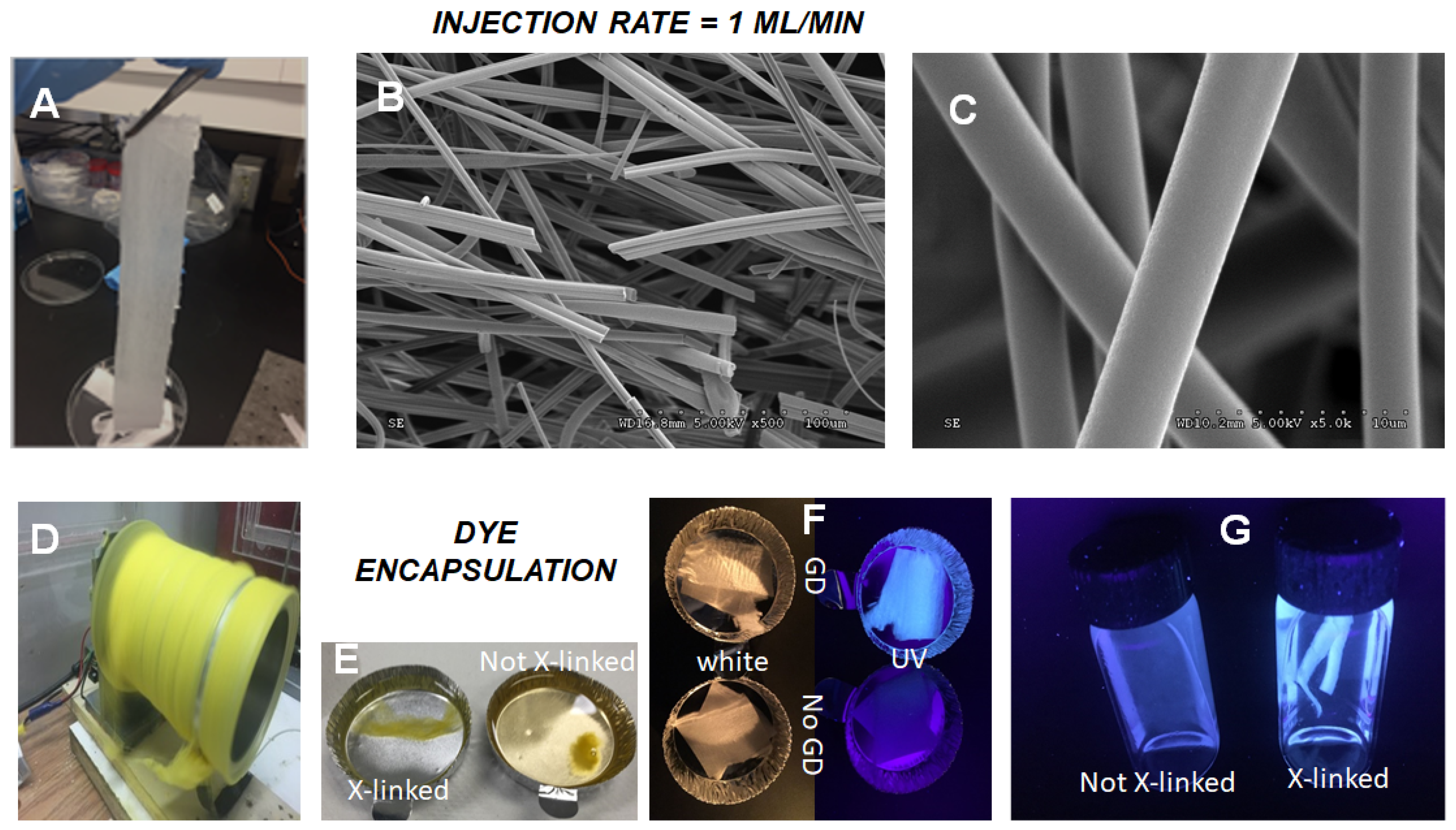 Nanomaterials 12 00967 g005