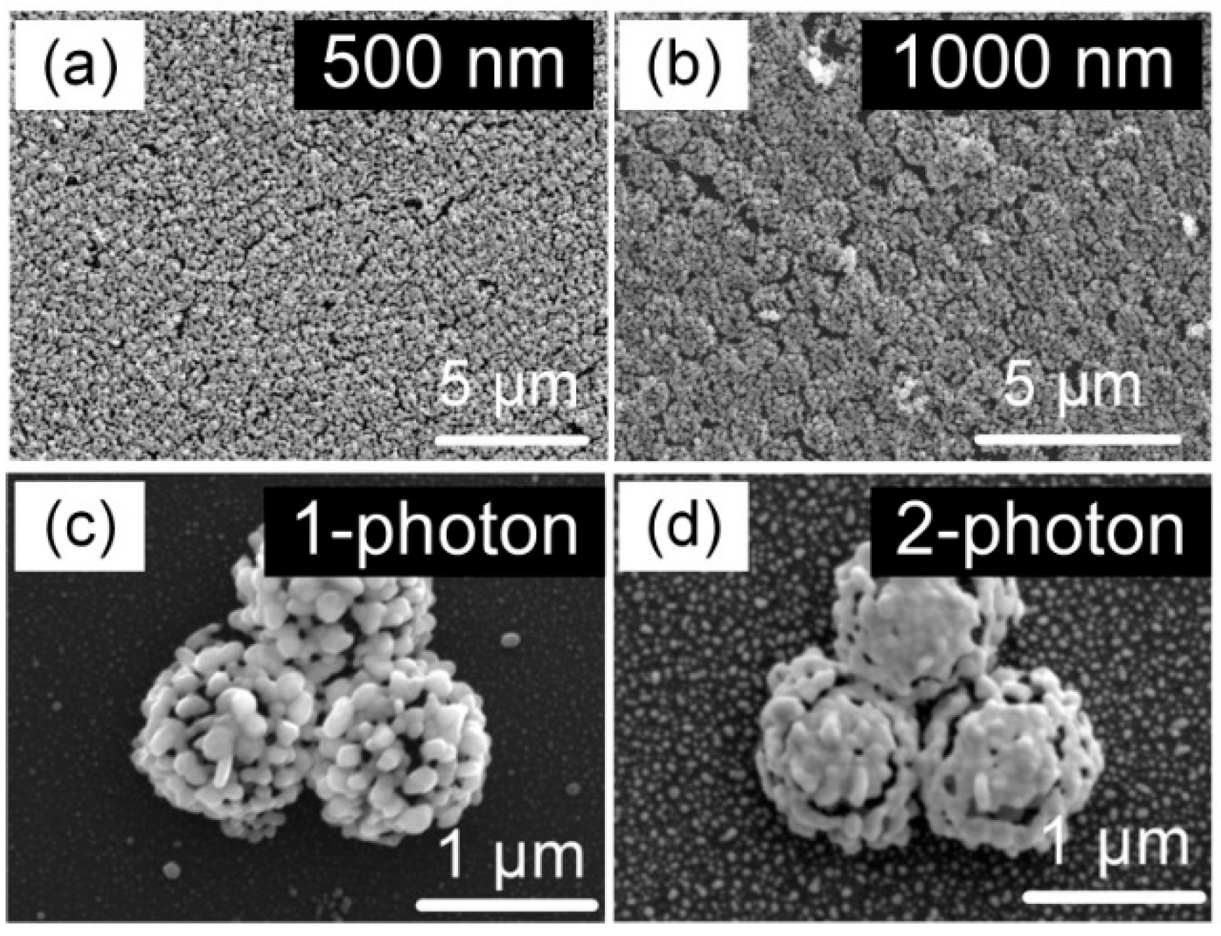 Nanomaterials 12 00970 g004