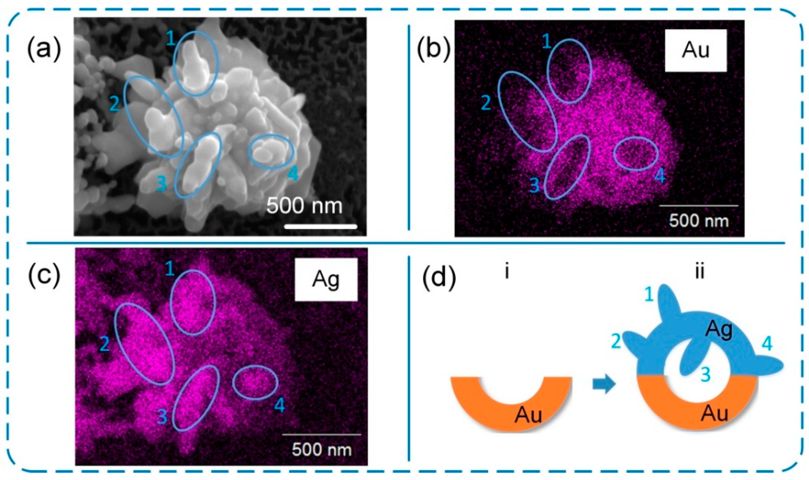 Nanomaterials 12 00970 g006