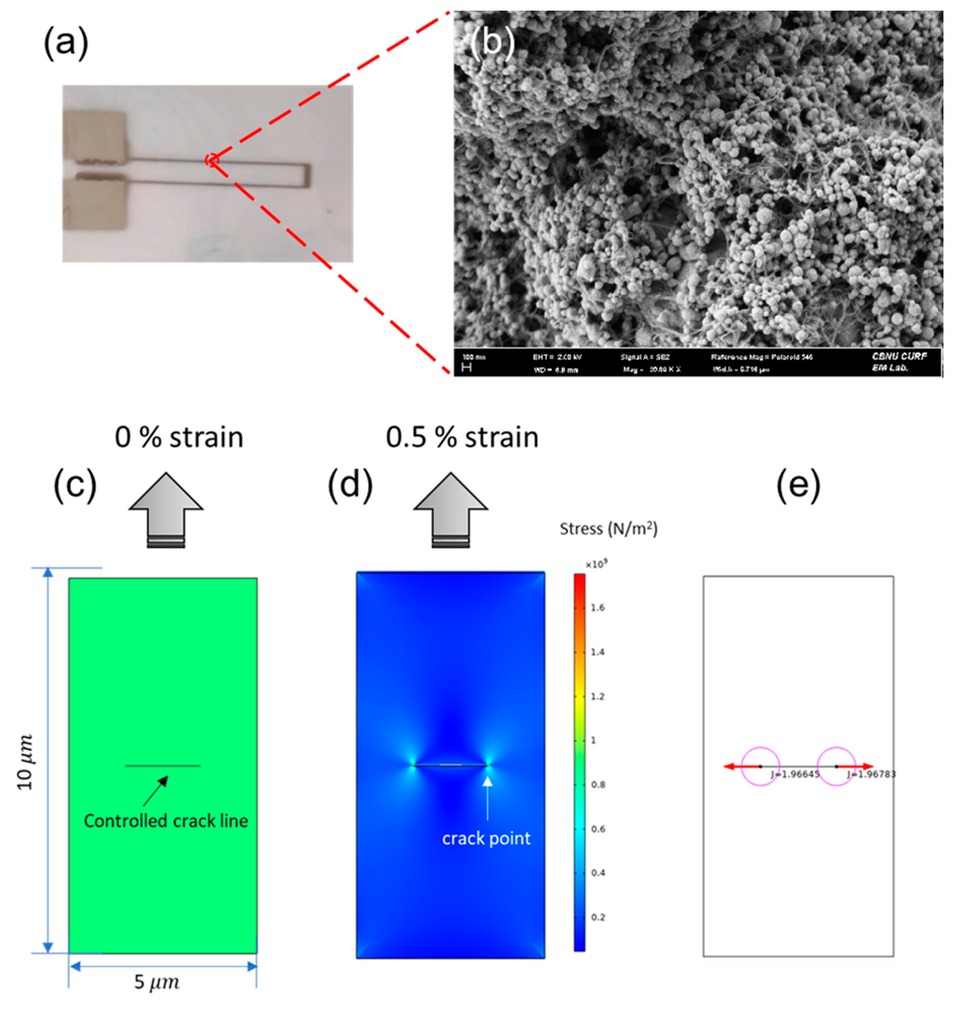 Nanomaterials 12 00972 g003 550