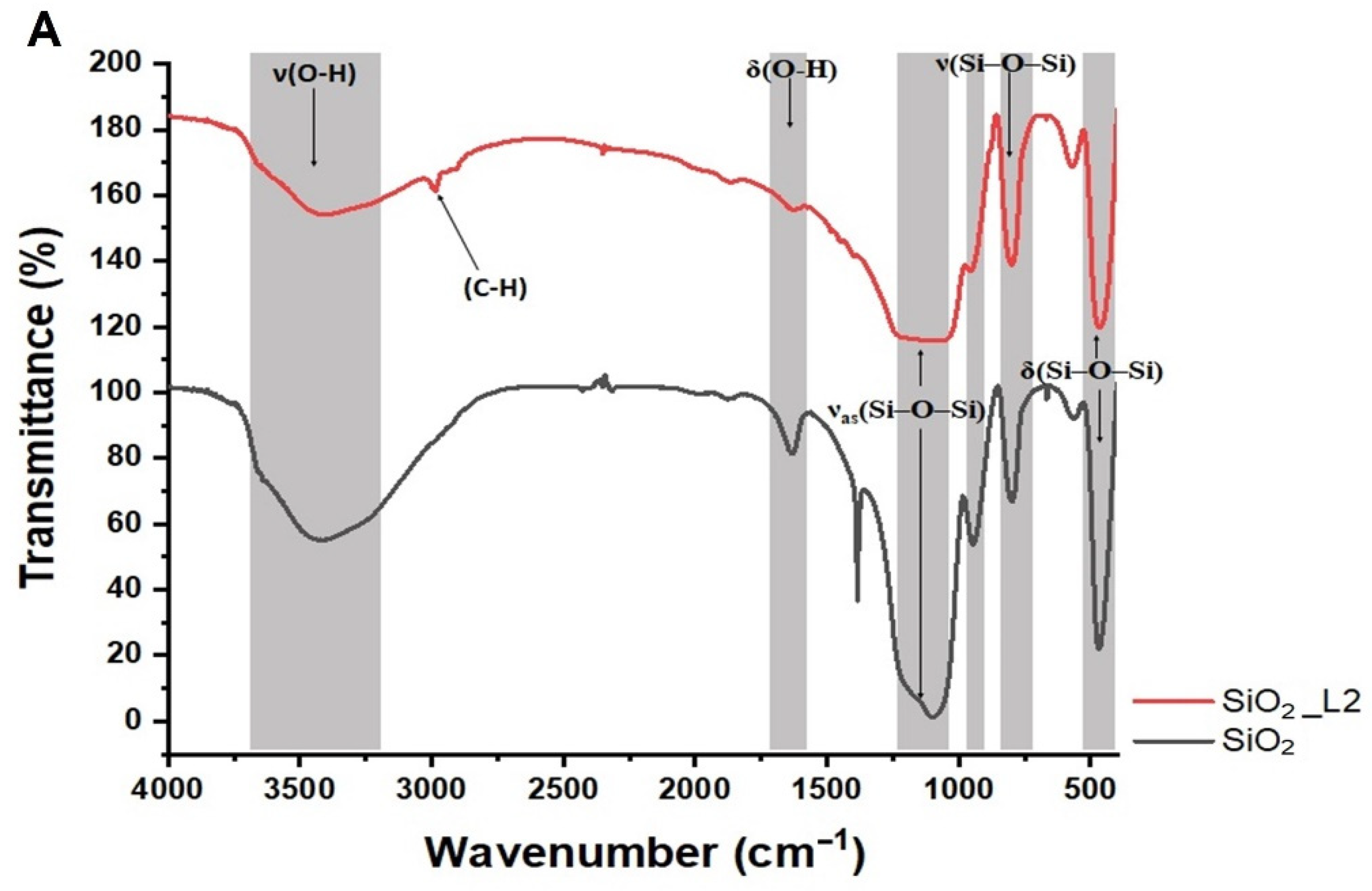 Nanomaterials 12 00974 g004a