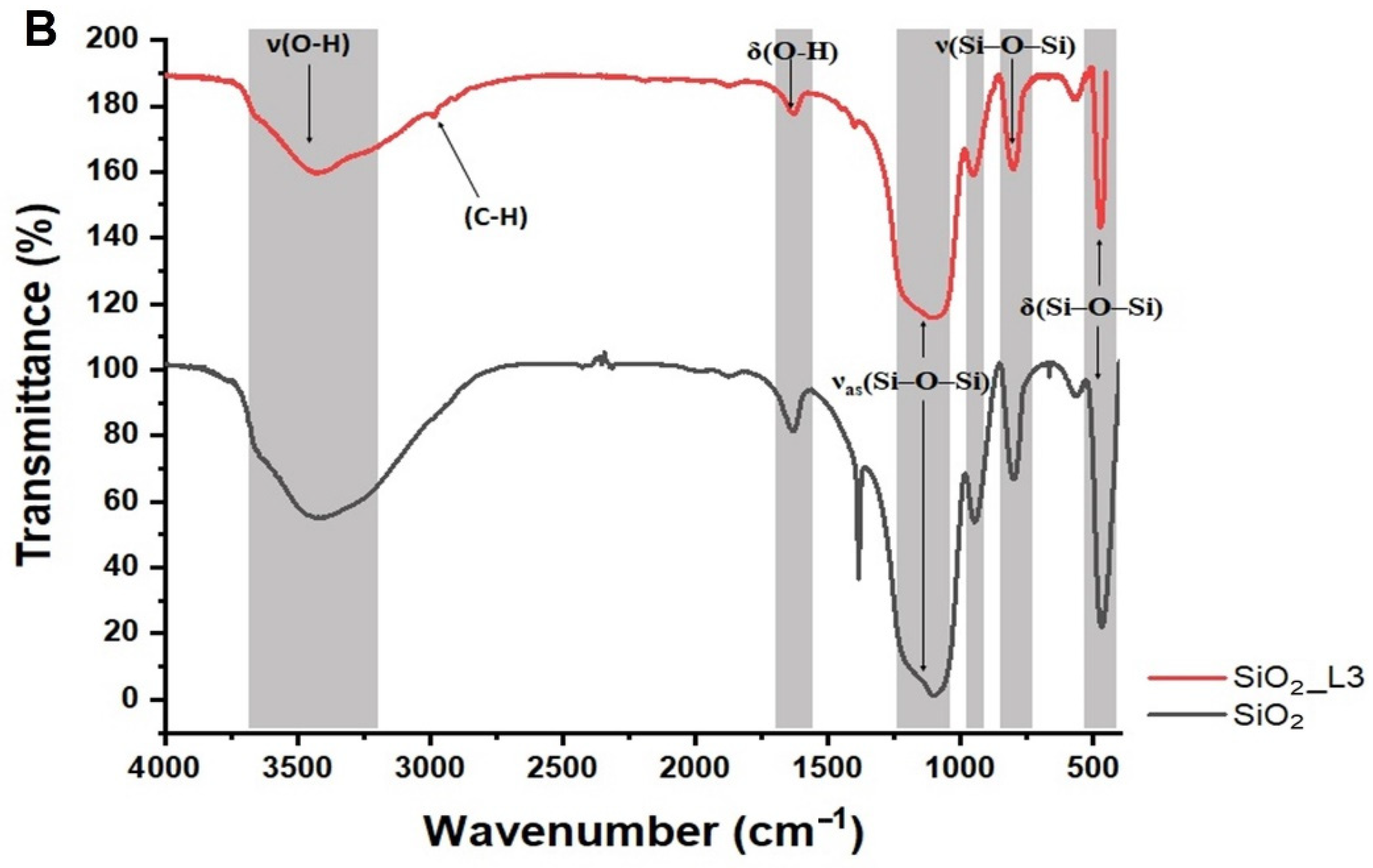Nanomaterials 12 00974 g004b