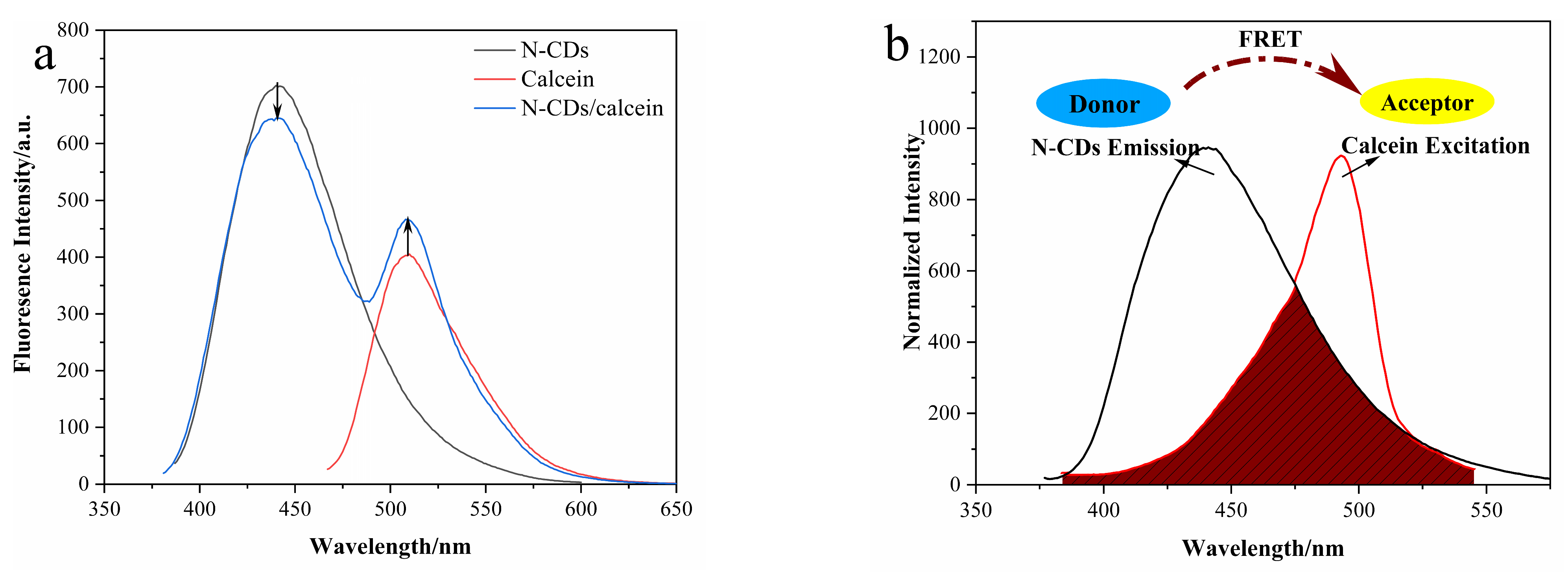 Nanomaterials 12 00976 g006