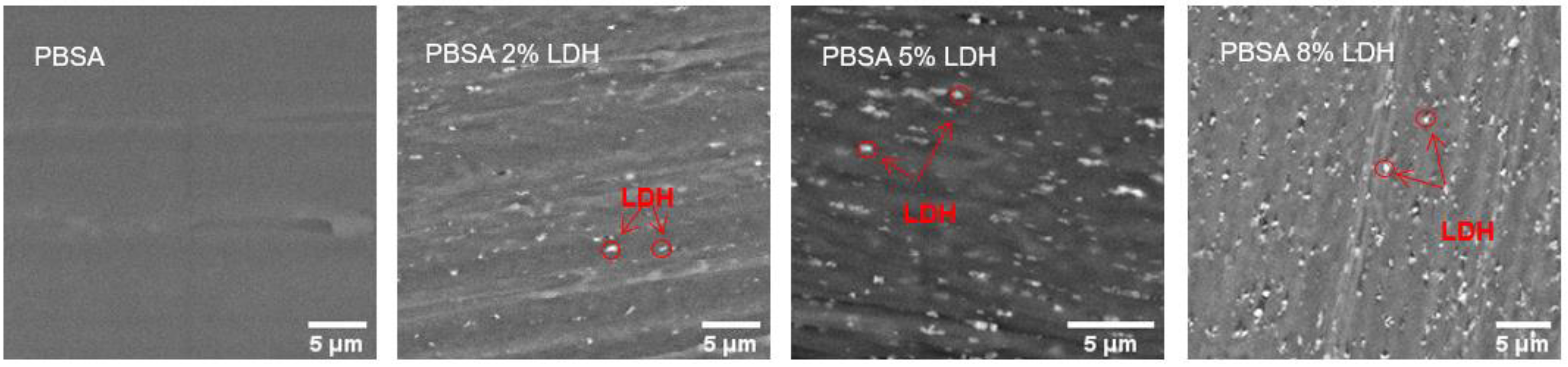 Nanomaterials 12 00978 g001