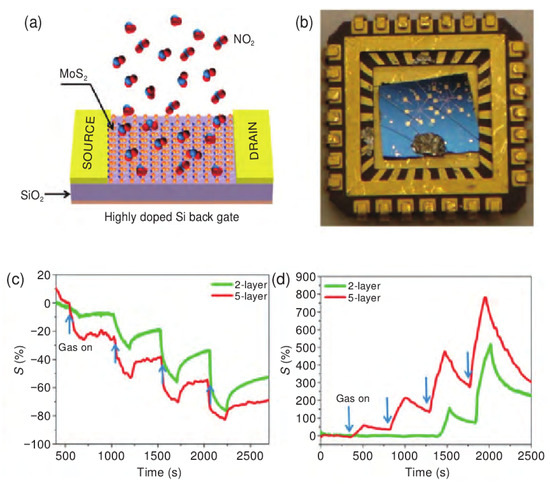 The Combination of Two-Dimensional Nanomaterials with Metal