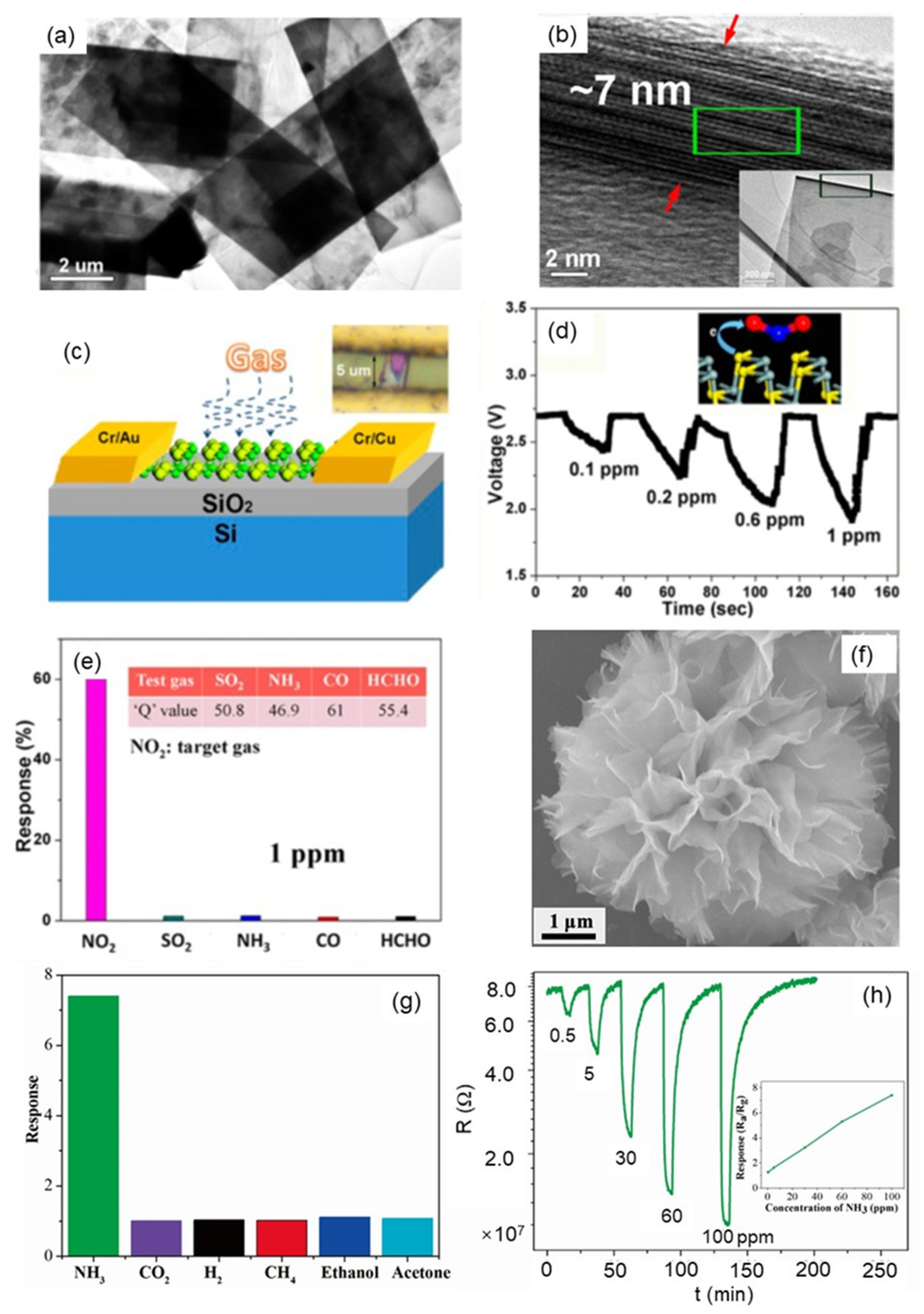 Nanomaterials 12 00982 g007